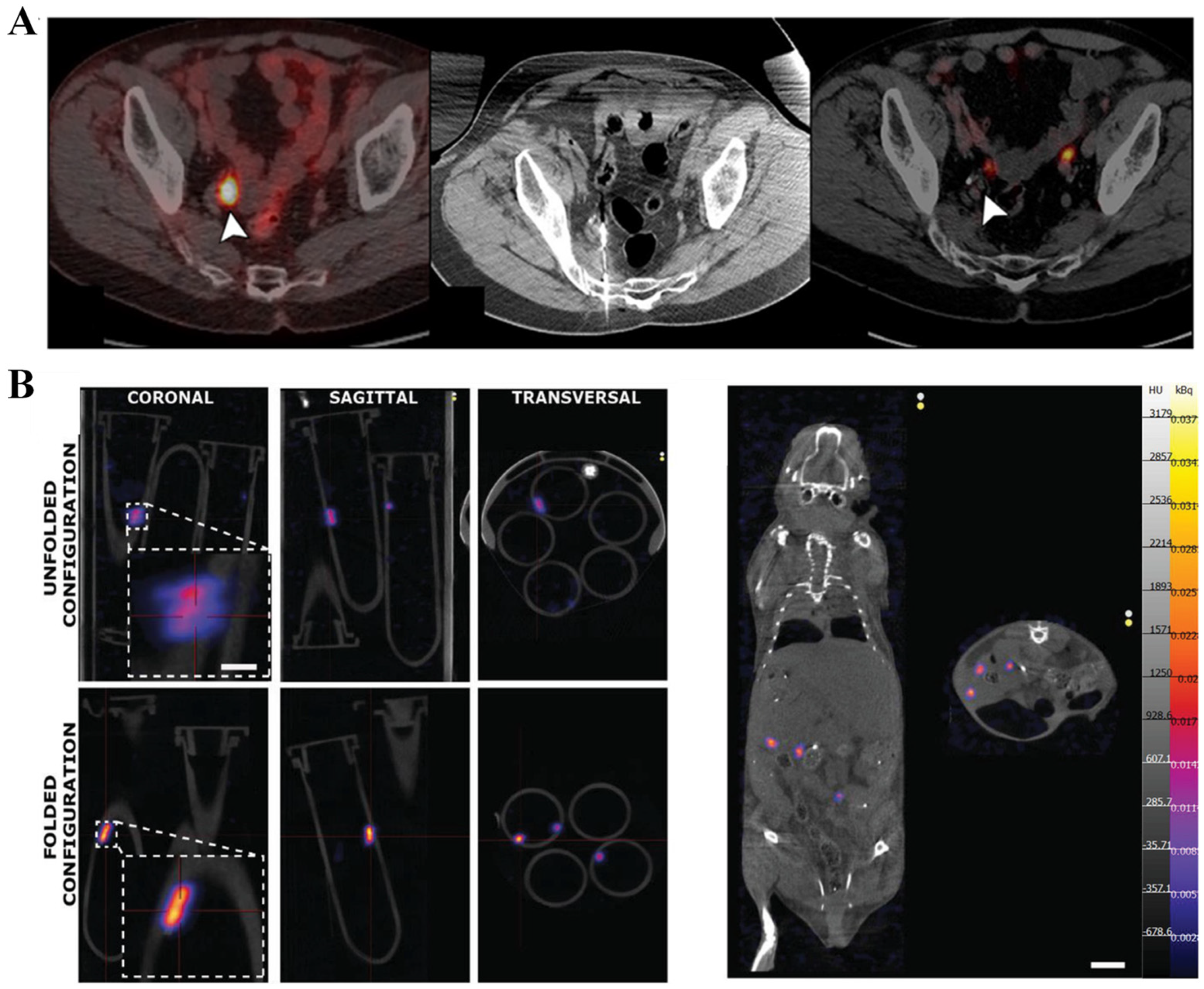Nanomaterials 13 02872 g007 Nanomaterials 13 02872 g007
