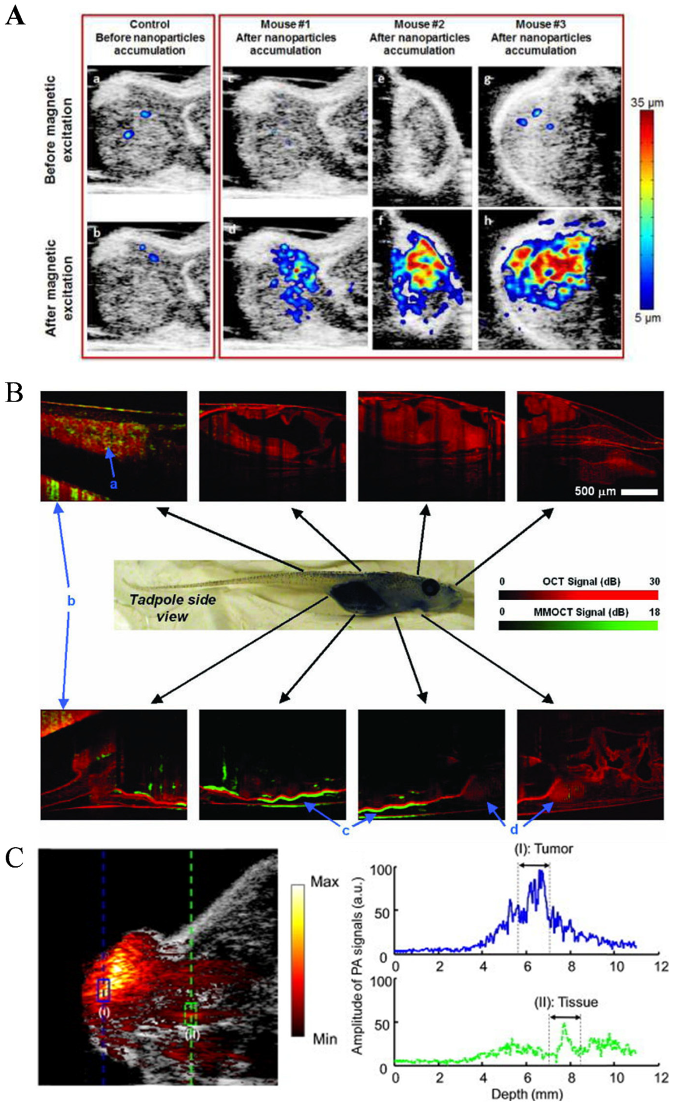Nanomaterials 13 02872 g009 Nanomaterials 13 02872 g009