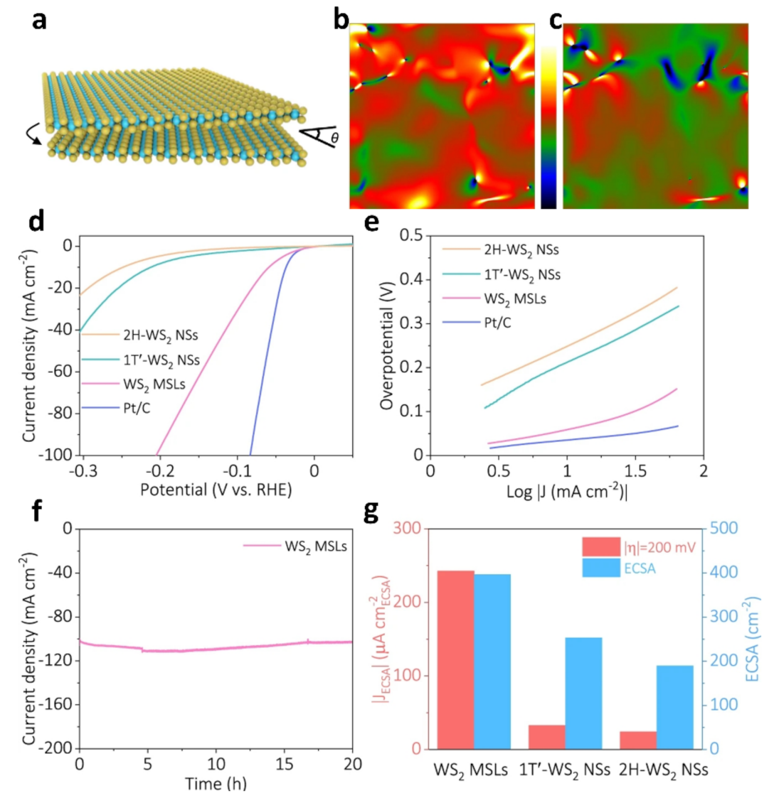 Nanomaterials 13 02881 g013