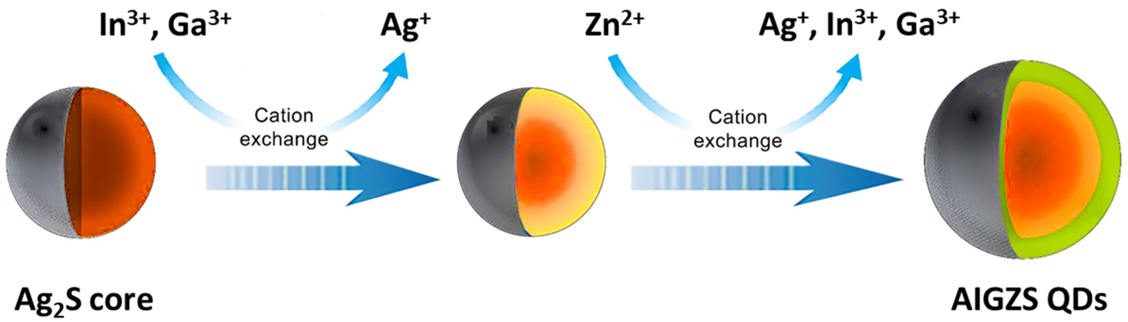 Nanomaterials 13 02889 g003