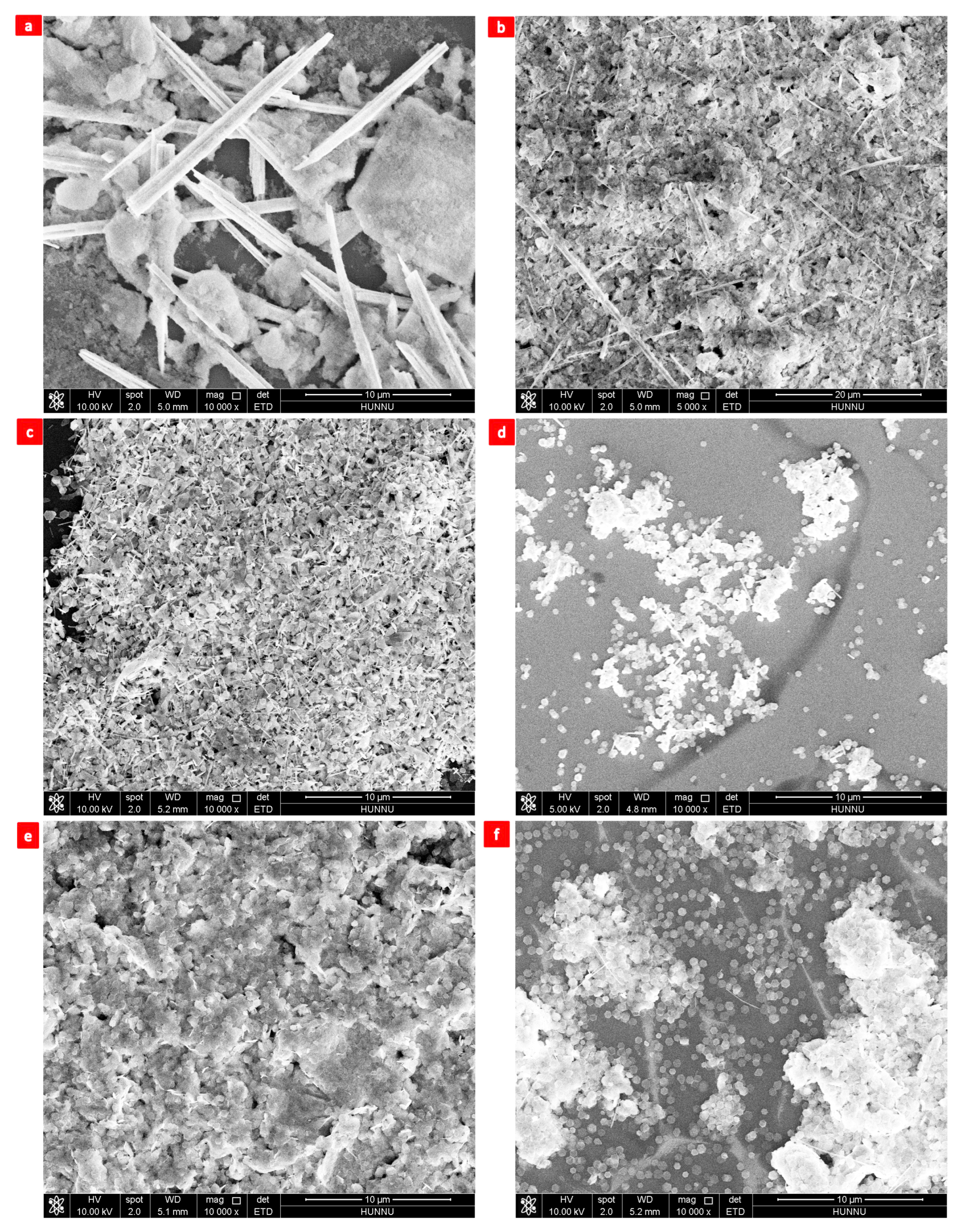 Nanomaterials 13 02894 g005