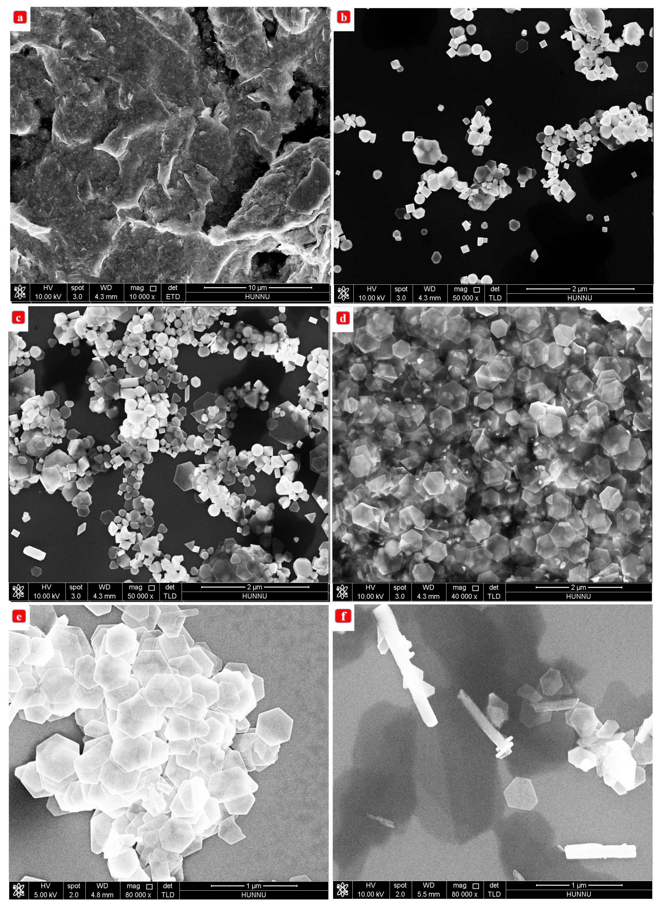 Nanomaterials 13 02894 g007