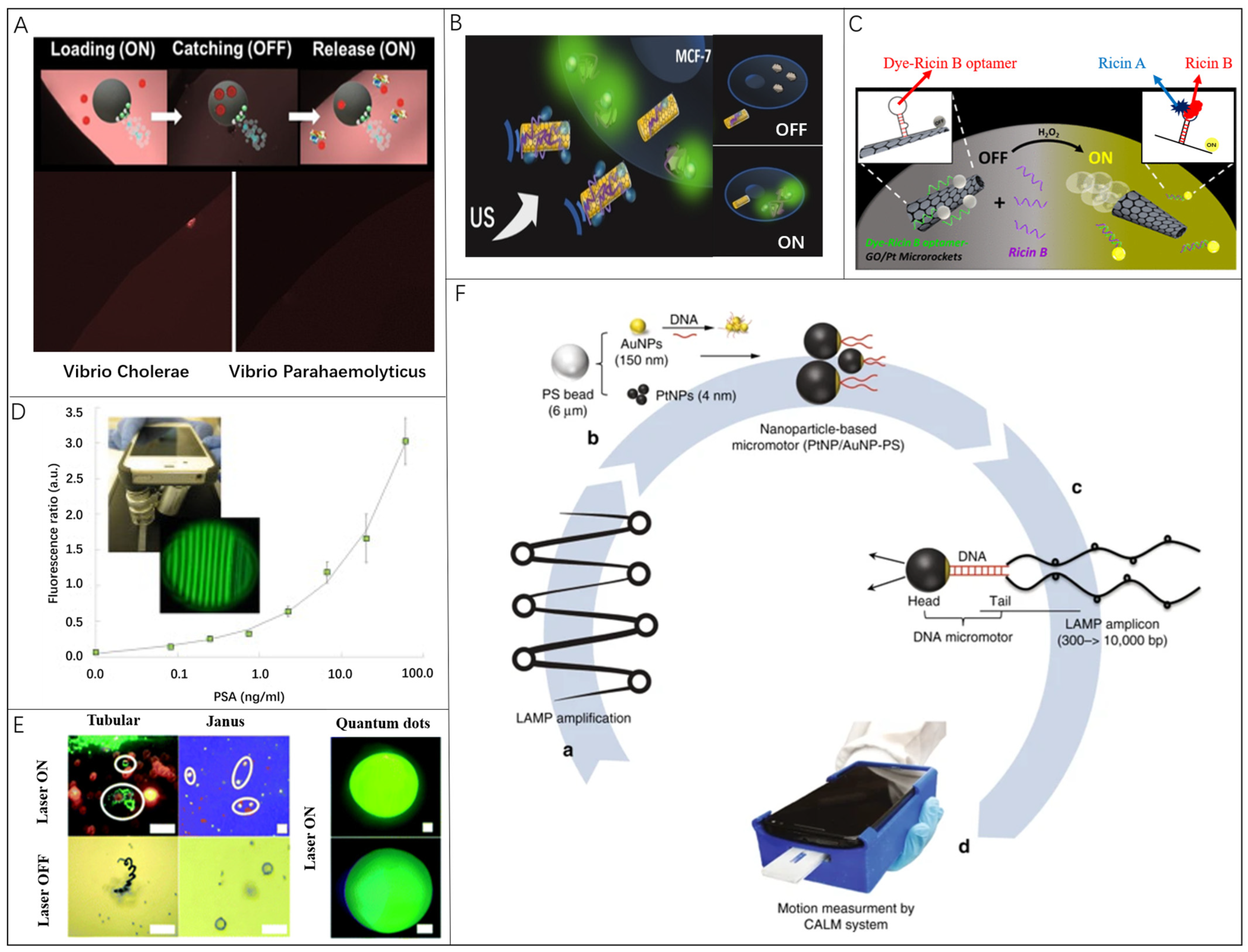Nanomaterials 13 02902 g001
