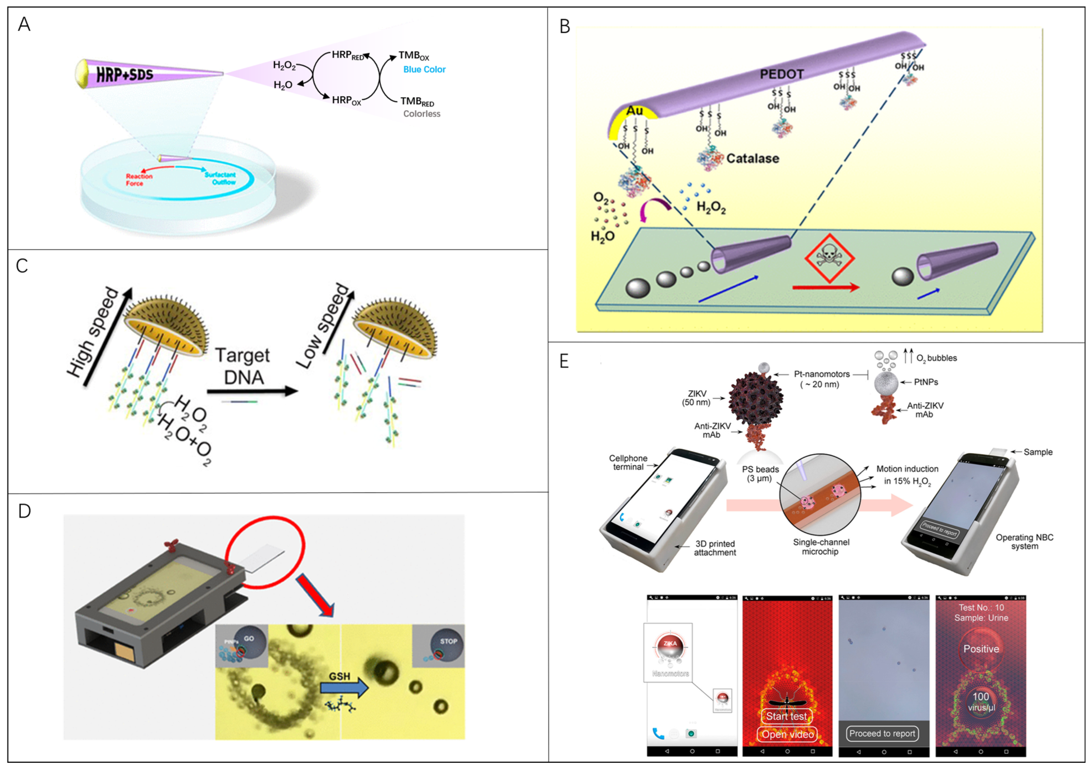 Nanomaterials 13 02902 g003