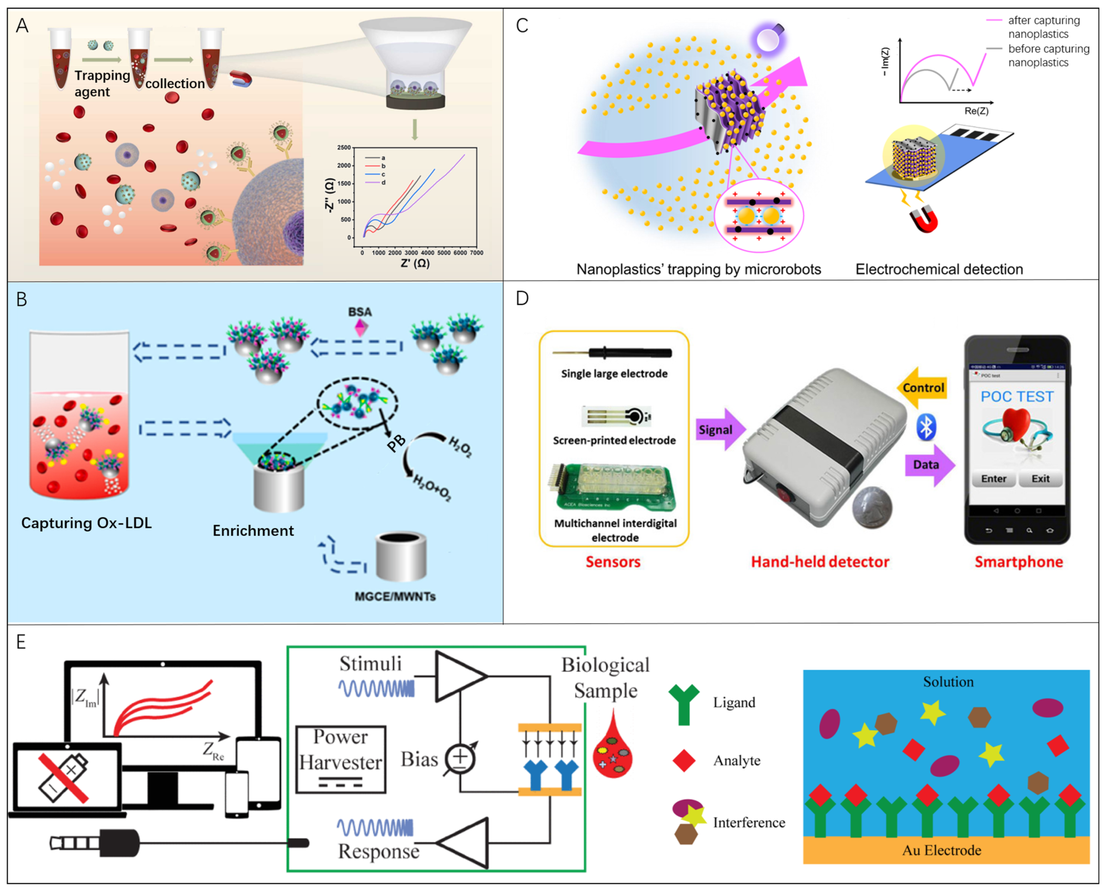 Nanomaterials 13 02902 g005