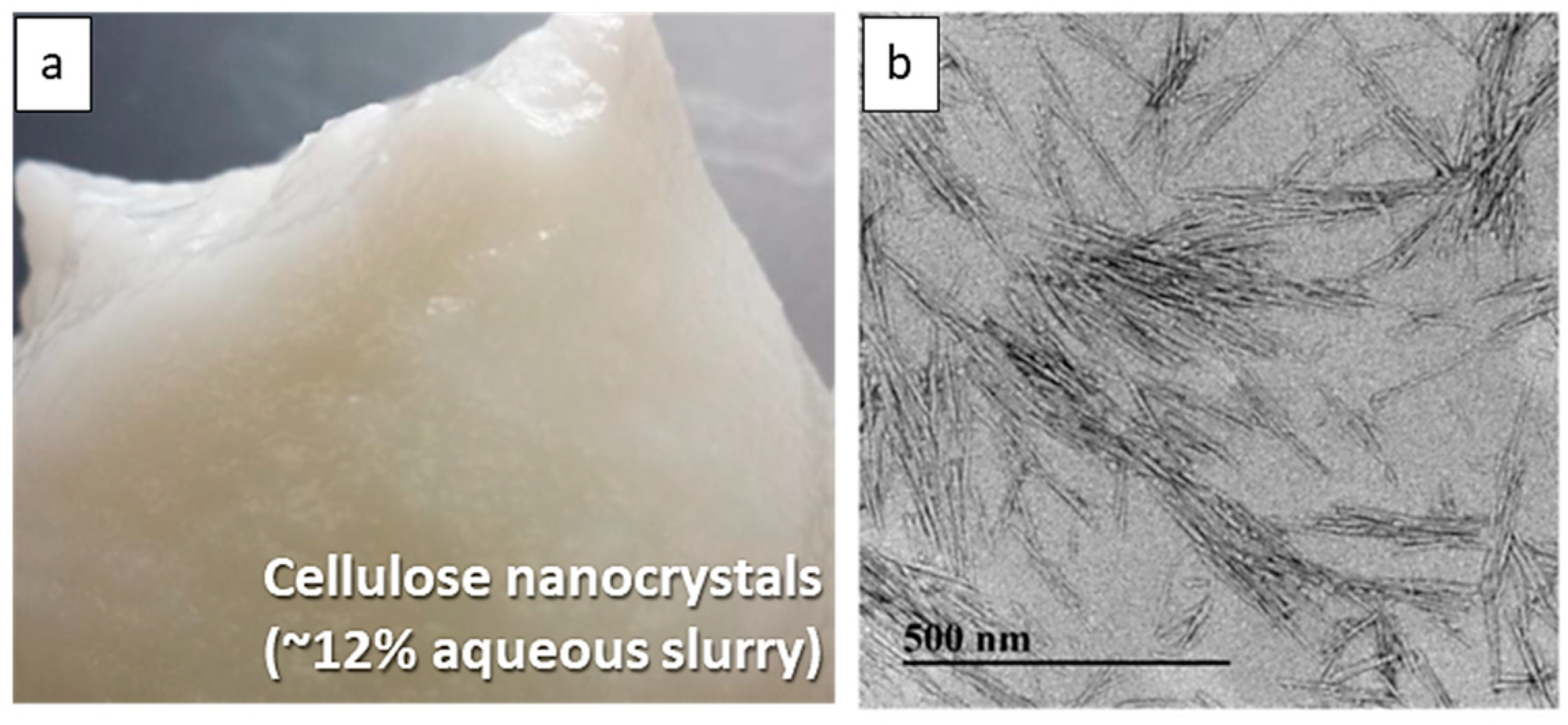 Nanomaterials 13 02928 g004