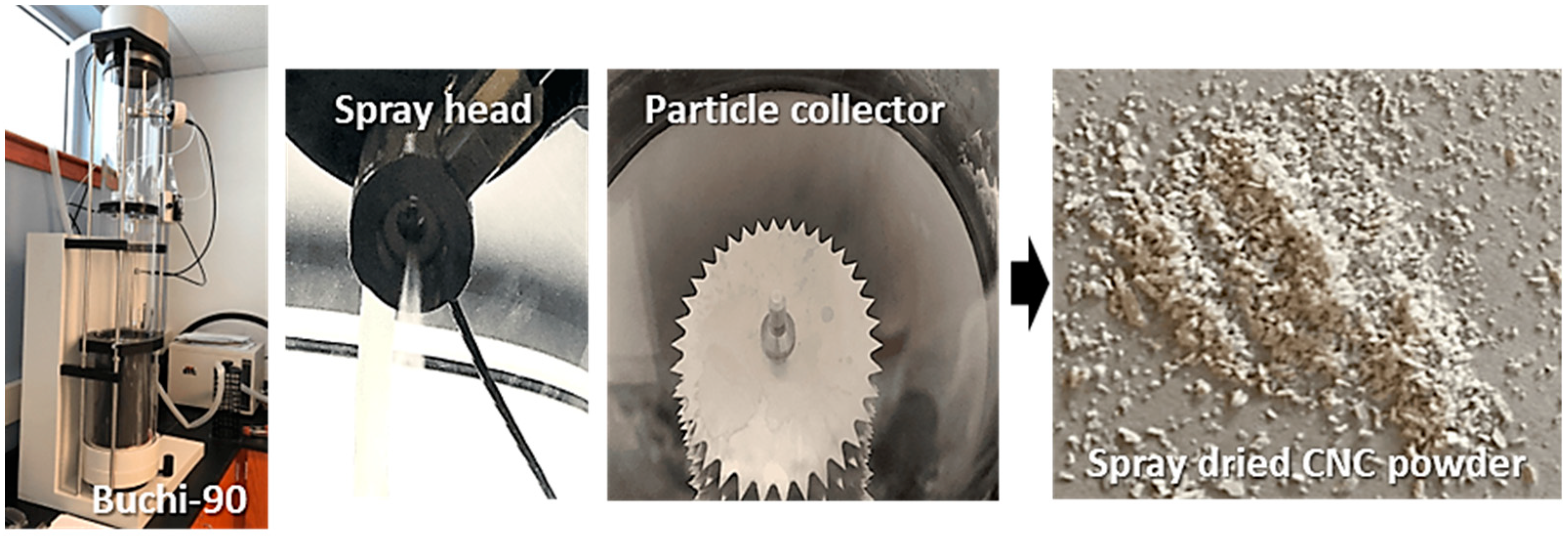 Nanomaterials 13 02928 g005