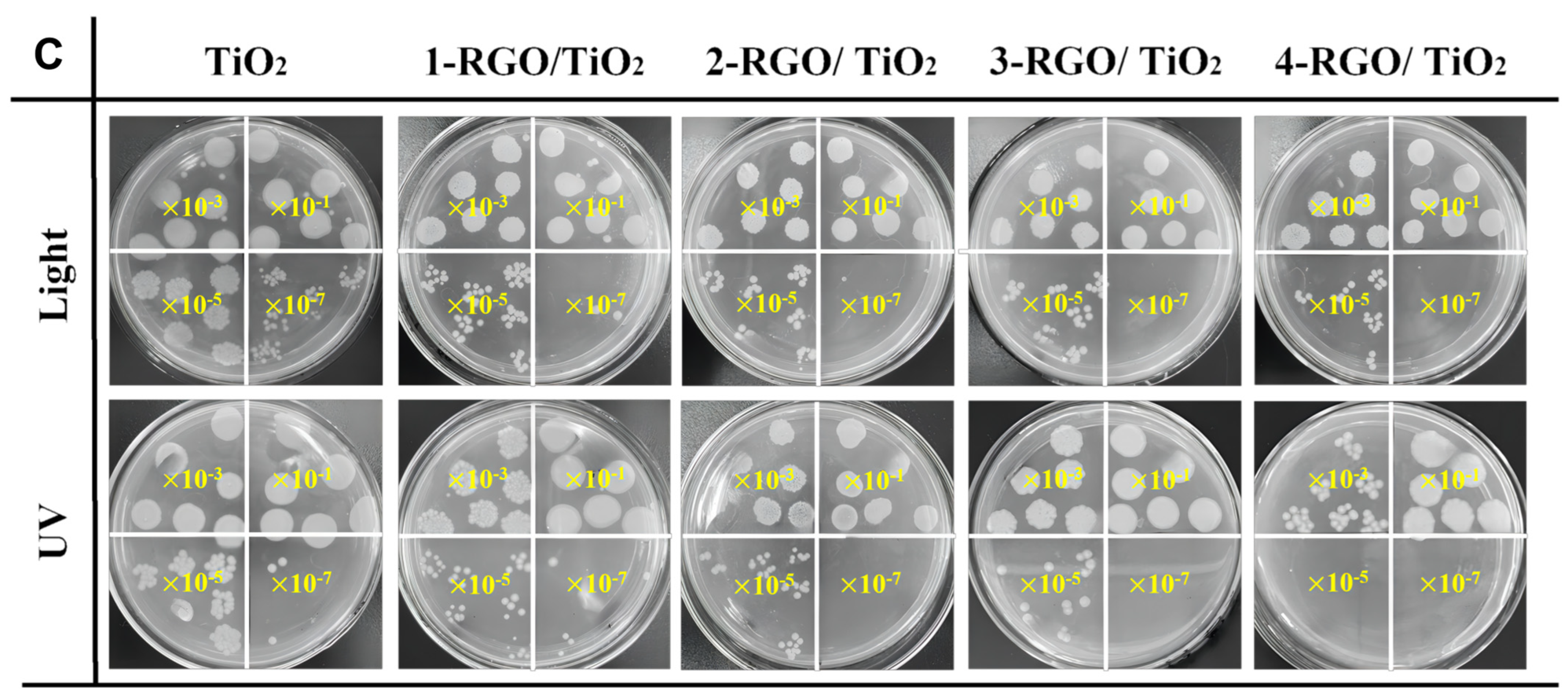 Nanomaterials 13 02954 g007b