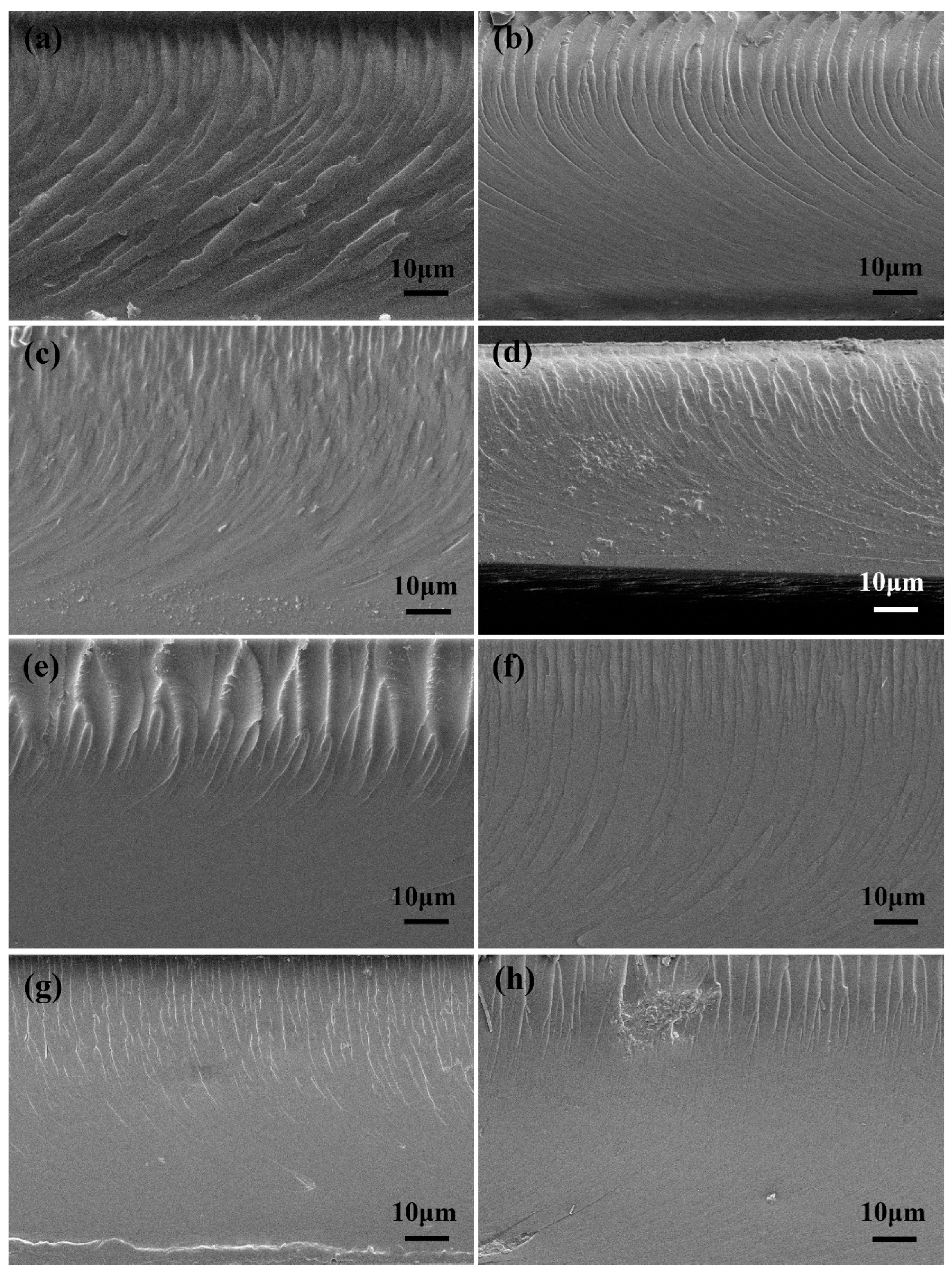 Nanomaterials 13 02960 g006
