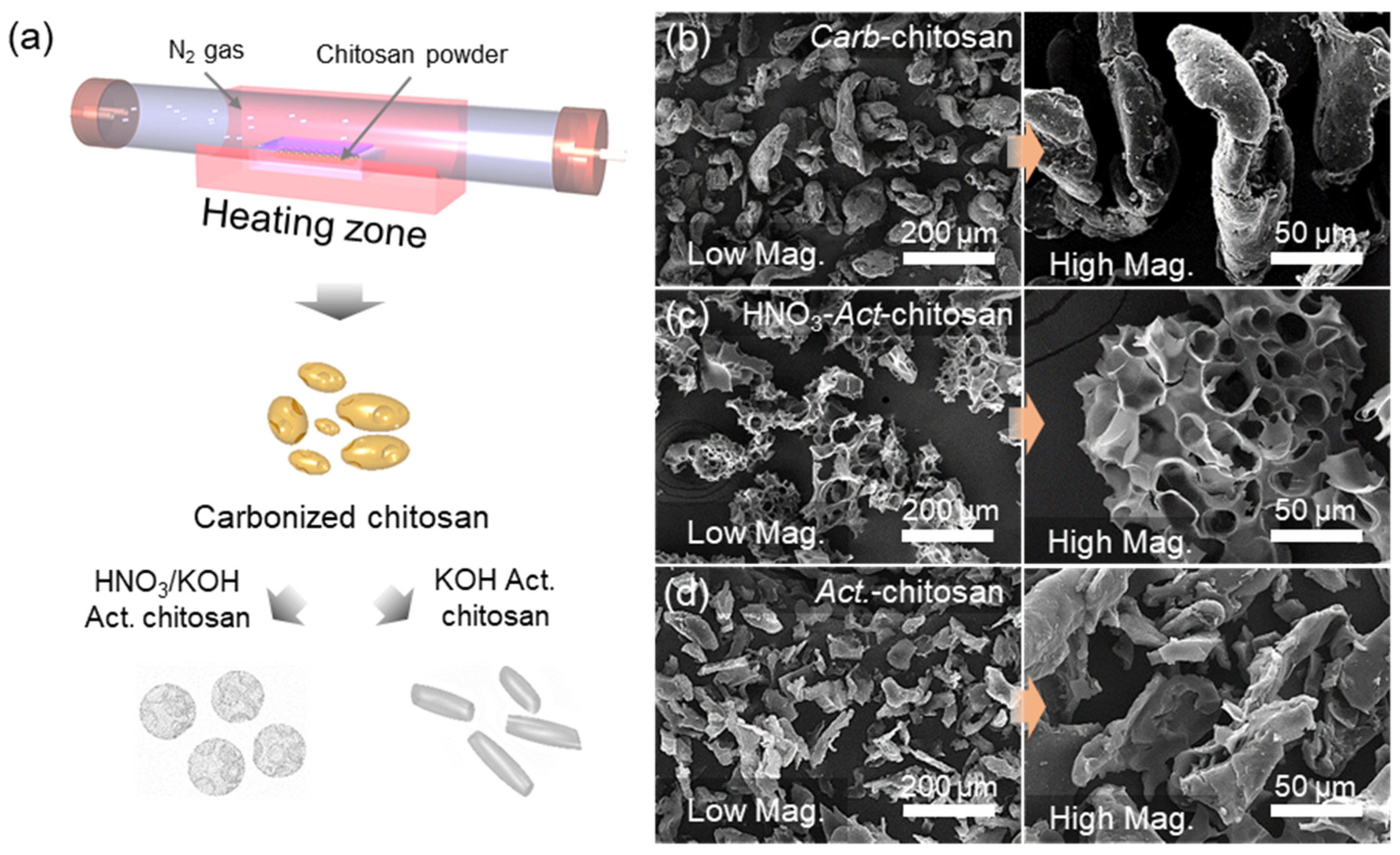 Nanomaterials 13 02961 g001