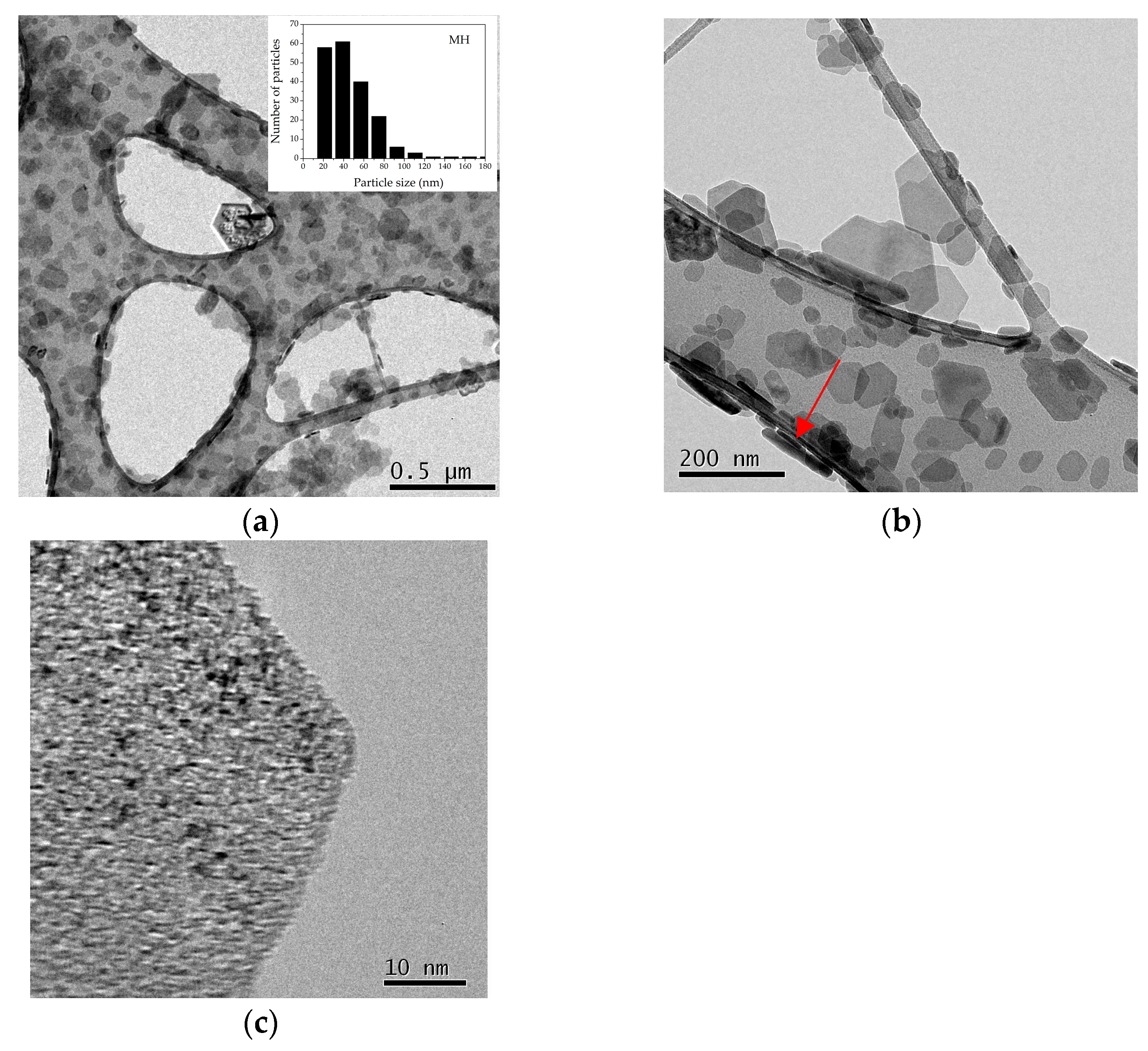 Nanomaterials 13 02975 g002