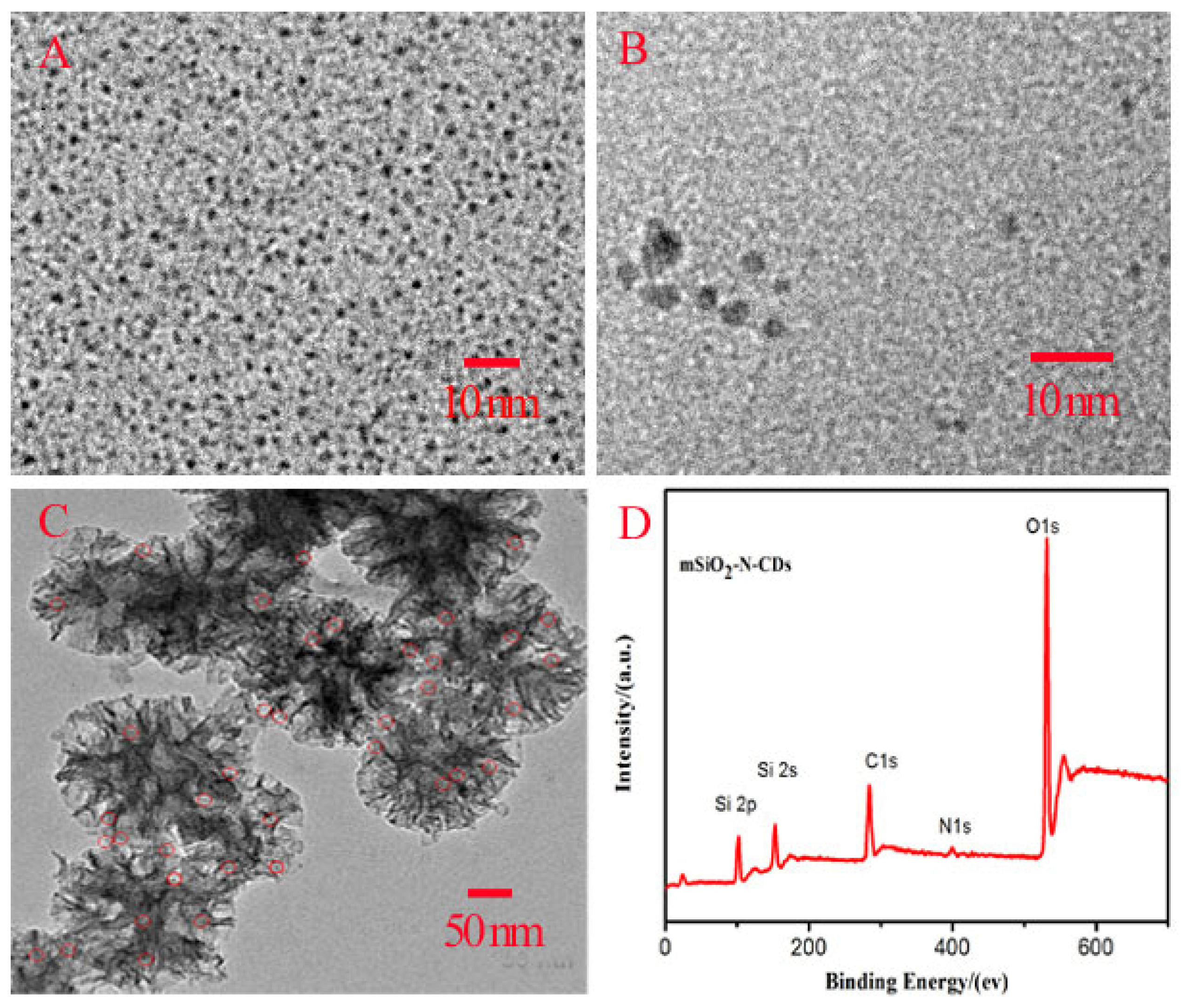 Nanomaterials 13 02989 g001