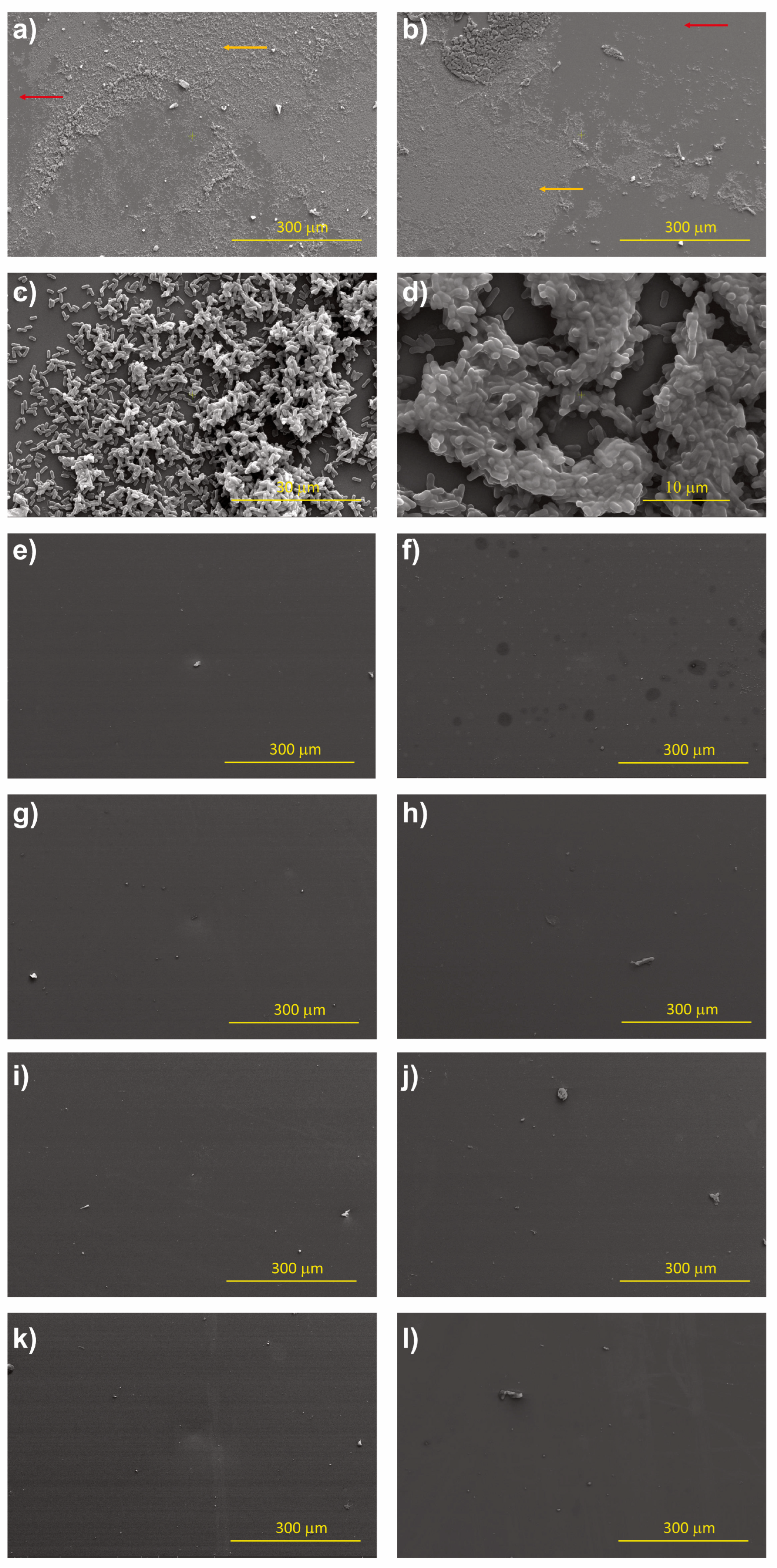 Nanomaterials 13 02992 g012