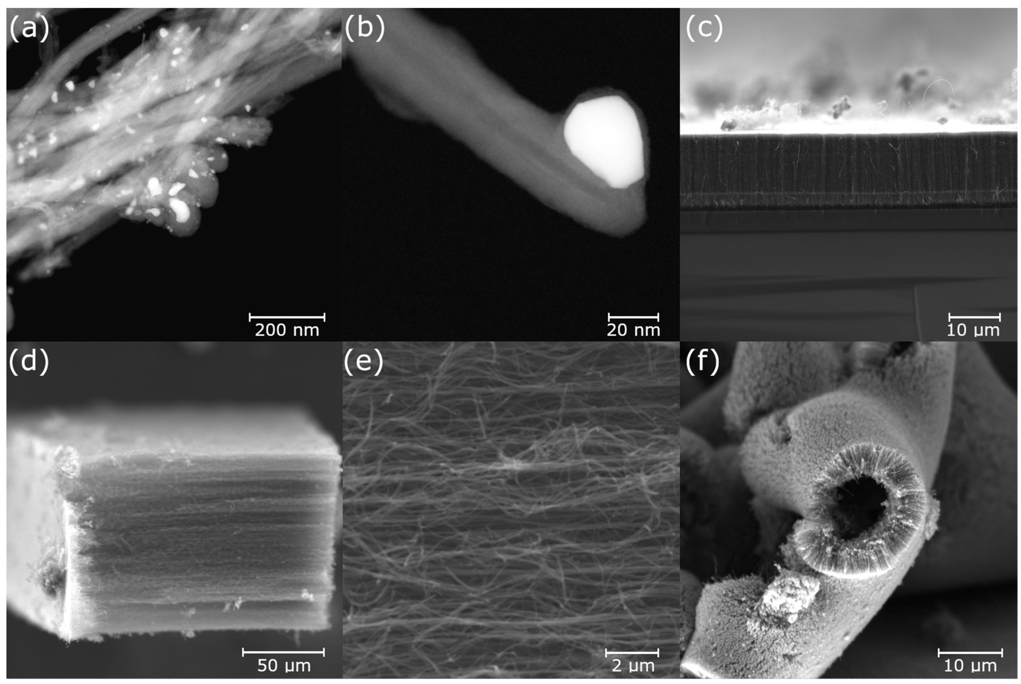 Nanomaterials 13 03010 g007