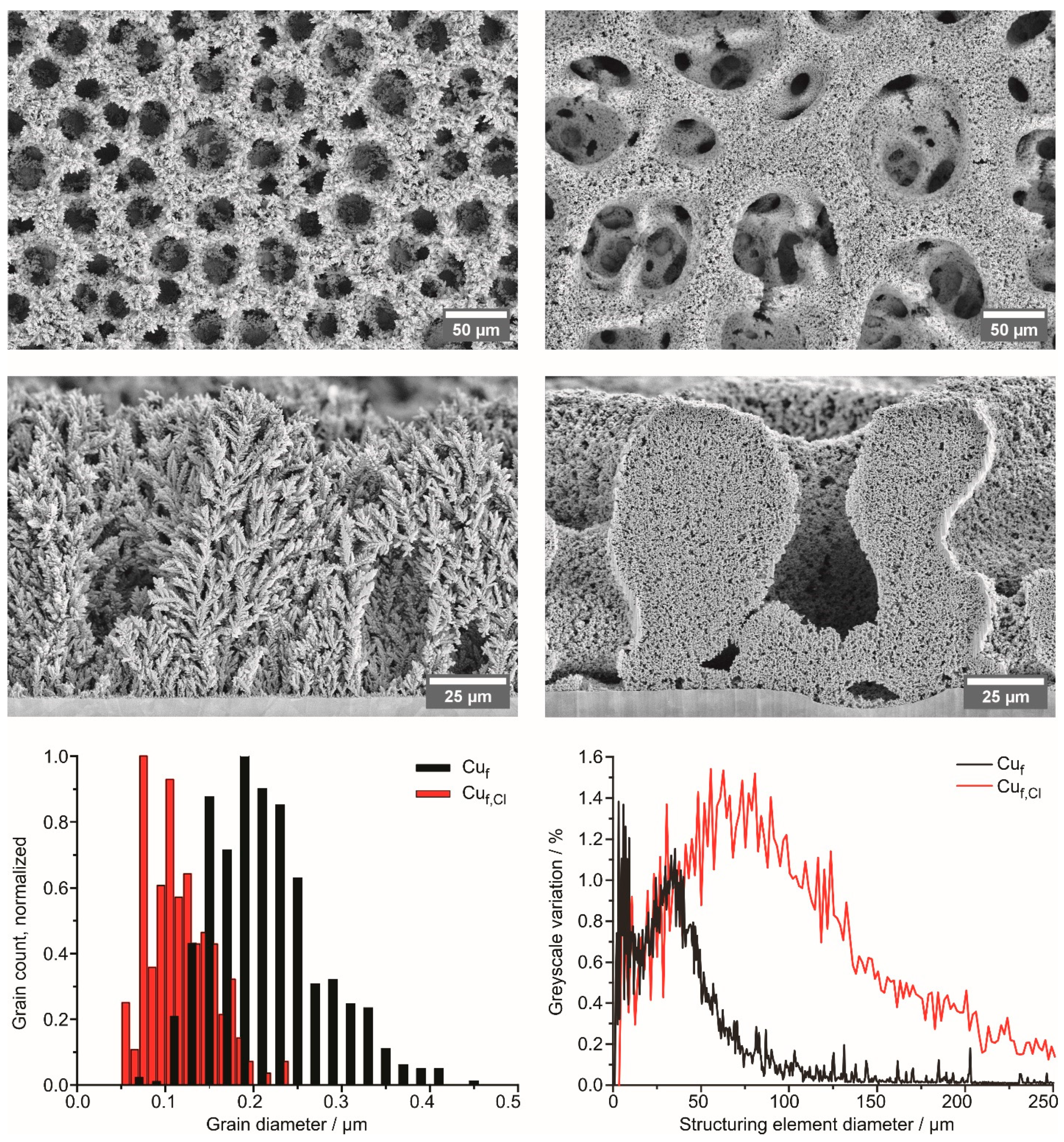 Nanomaterials 13 03011 g002
