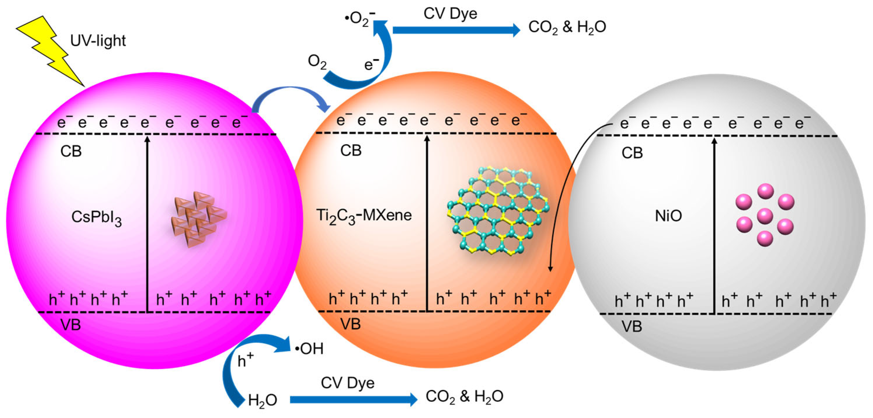 Nanomaterials 13 03026 g012
