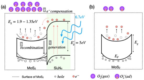 https://www.mdpi.com/nanomaterials/nanomaterials-13-03034/article_deploy/html/images/nanomaterials-13-03034-g005-550.jpg