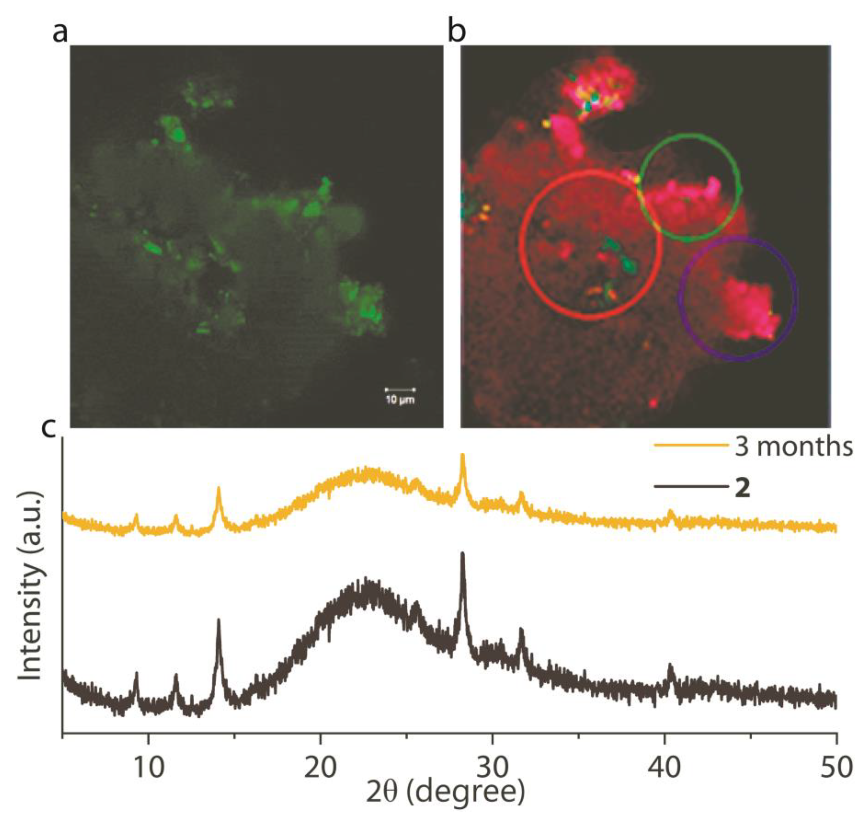 Nanomaterials 13 03049 g005