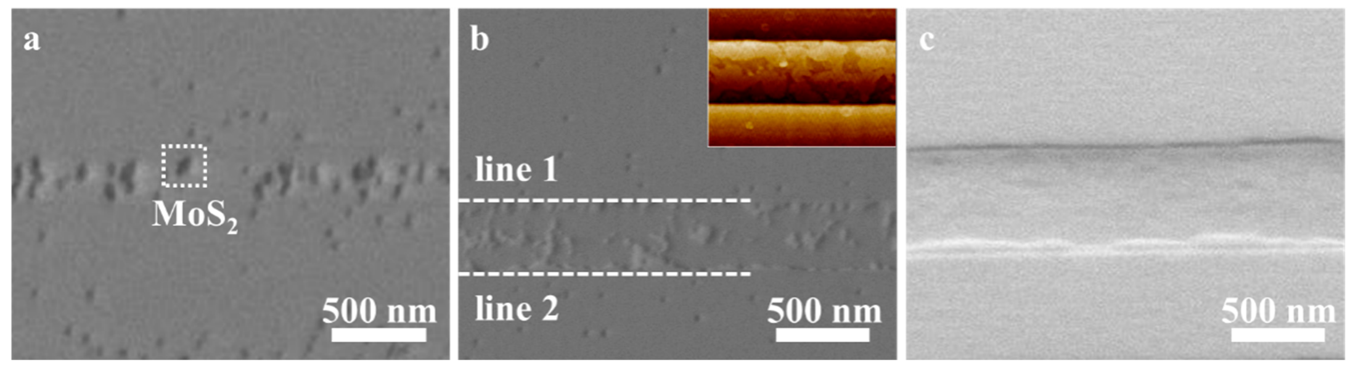 Nanomaterials 13 03056 g002