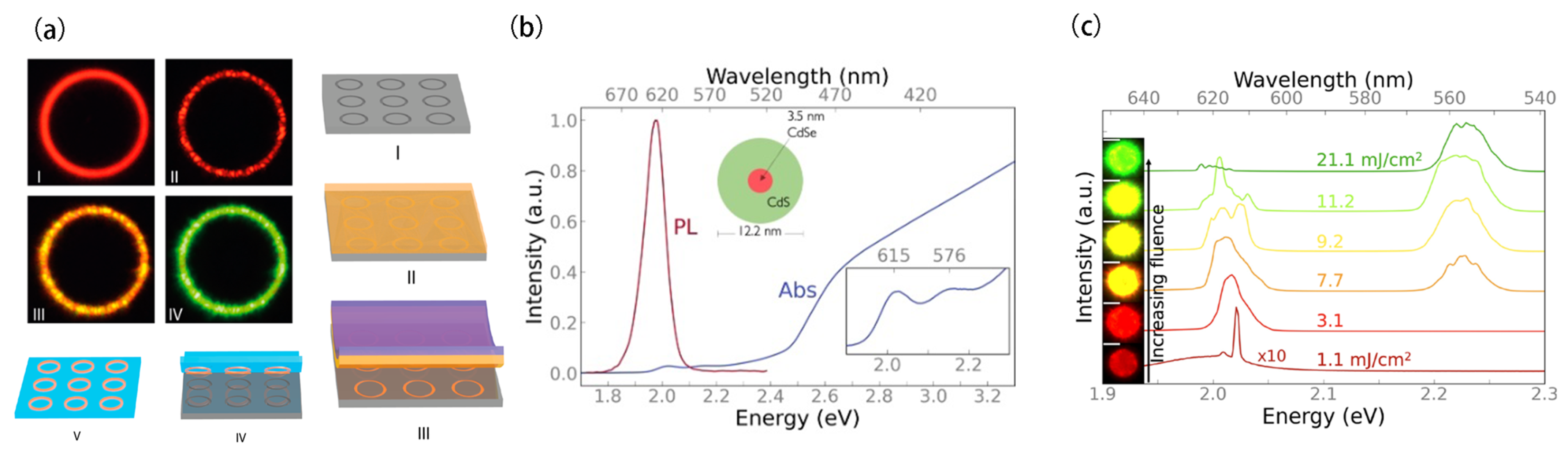 Nanomaterials 13 03069 g001
