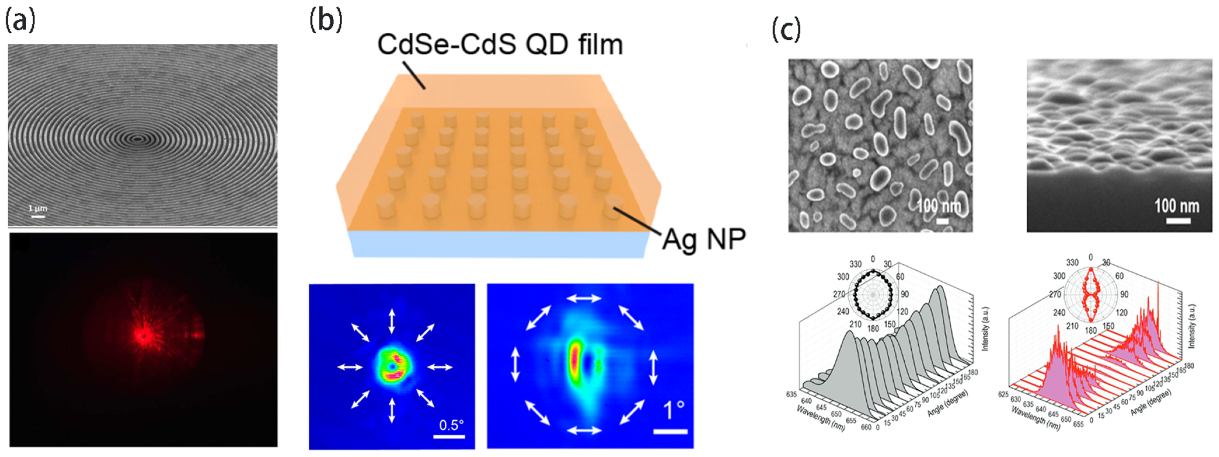 Nanomaterials 13 03069 g004