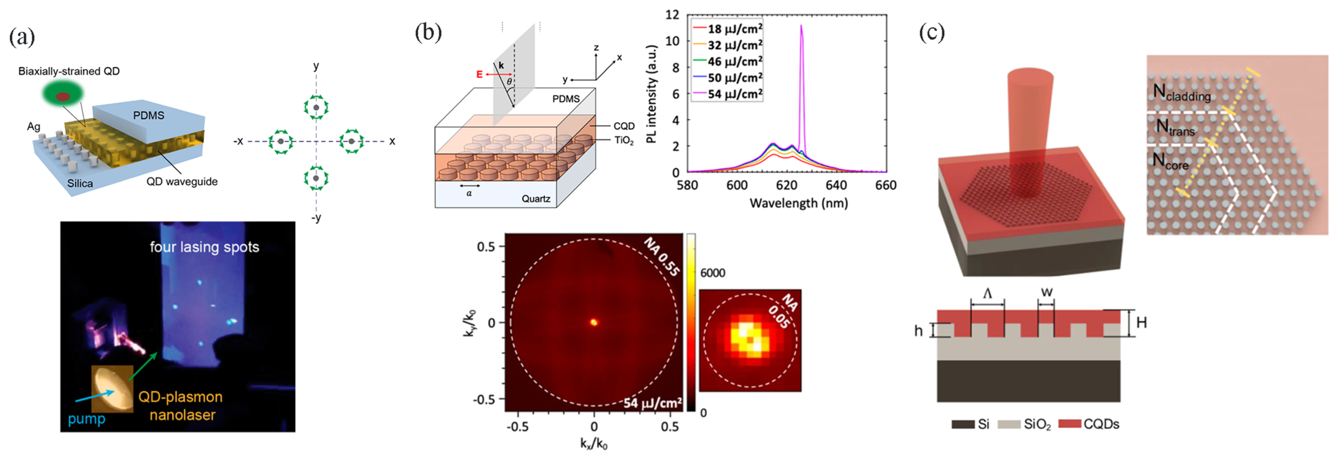 Nanomaterials 13 03069 g007