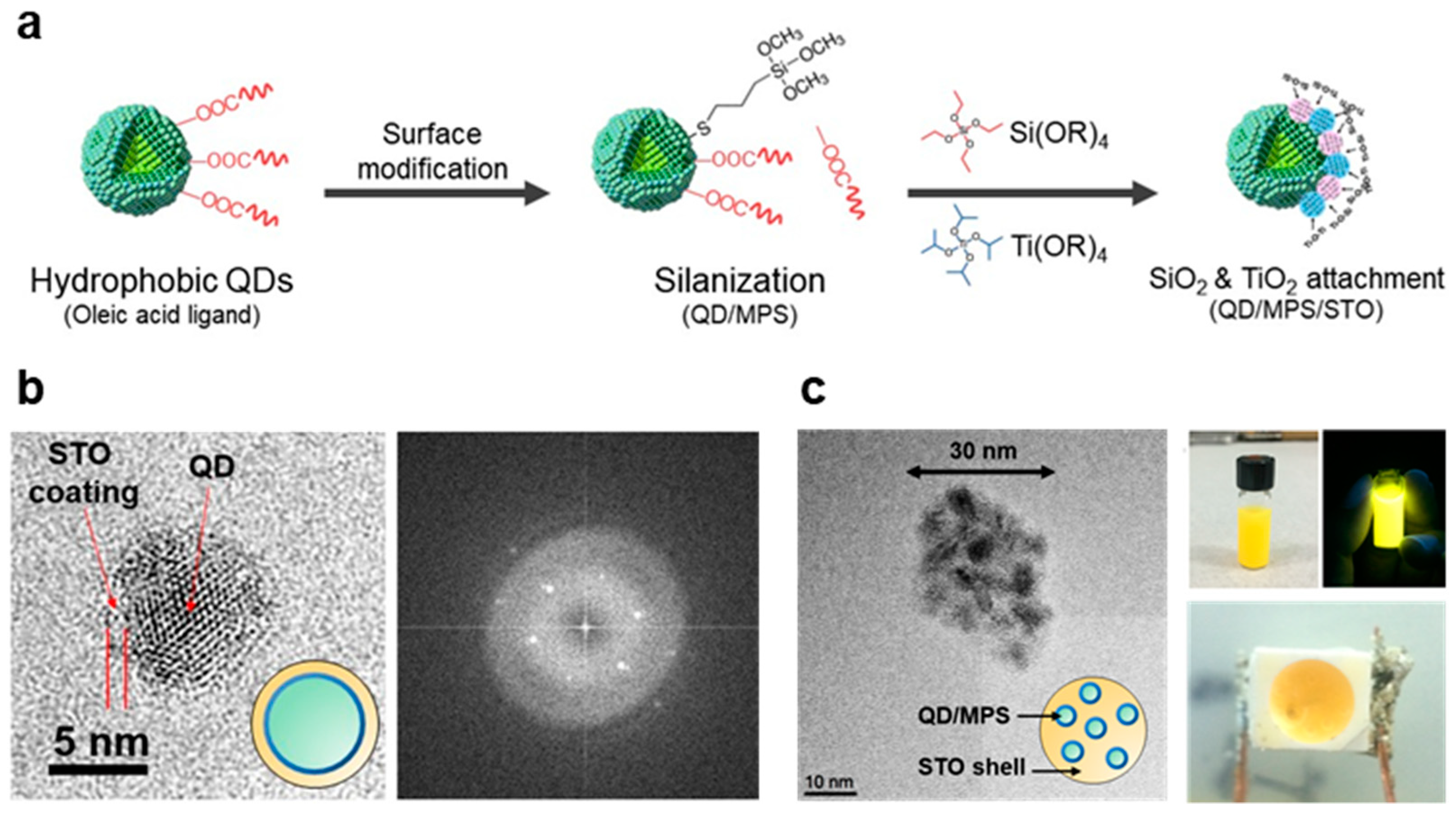 Nanomaterials 13 03072 g004