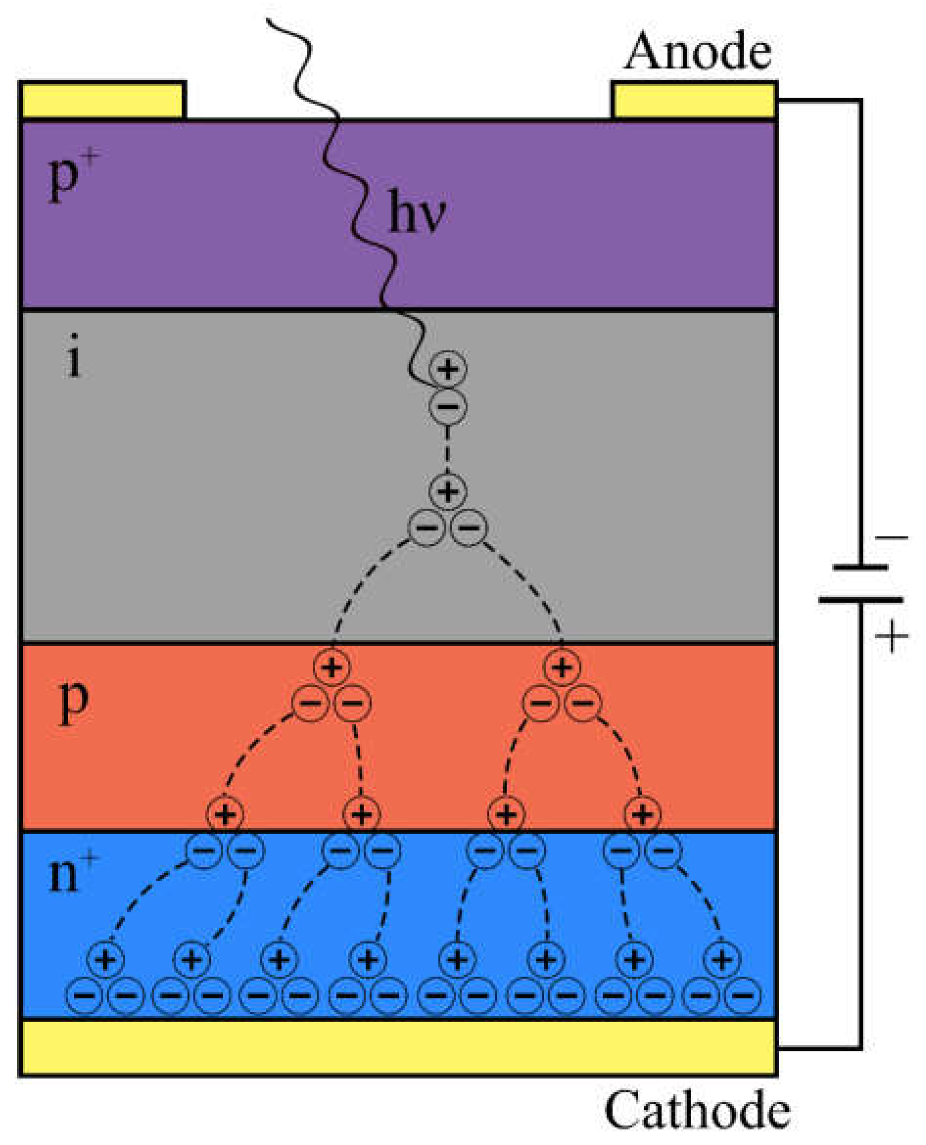 Nanomaterials | Free Full-Text | Silicon-Based Avalanche Photodiodes ...