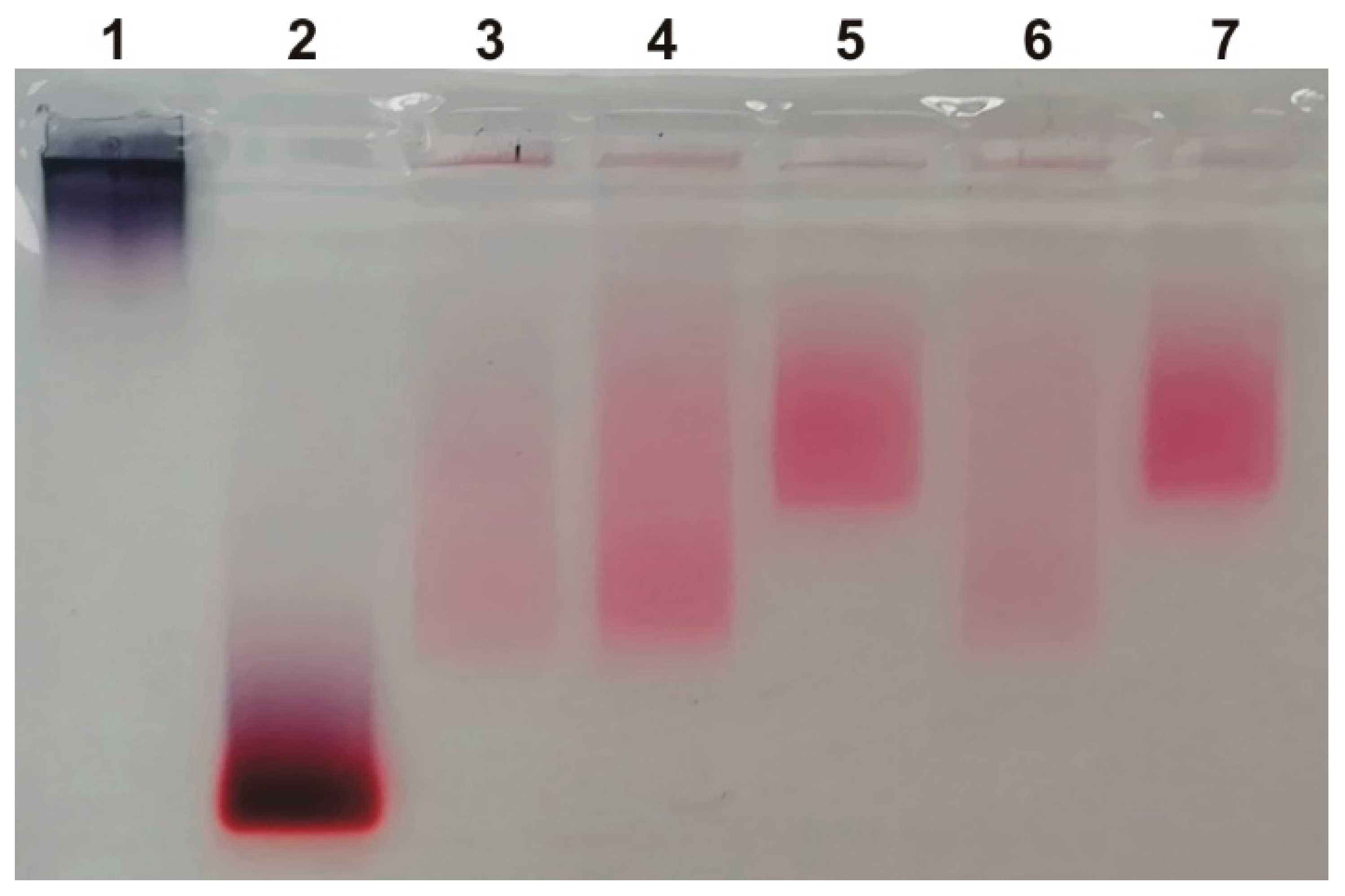 Nanomaterials 13 03094 g003