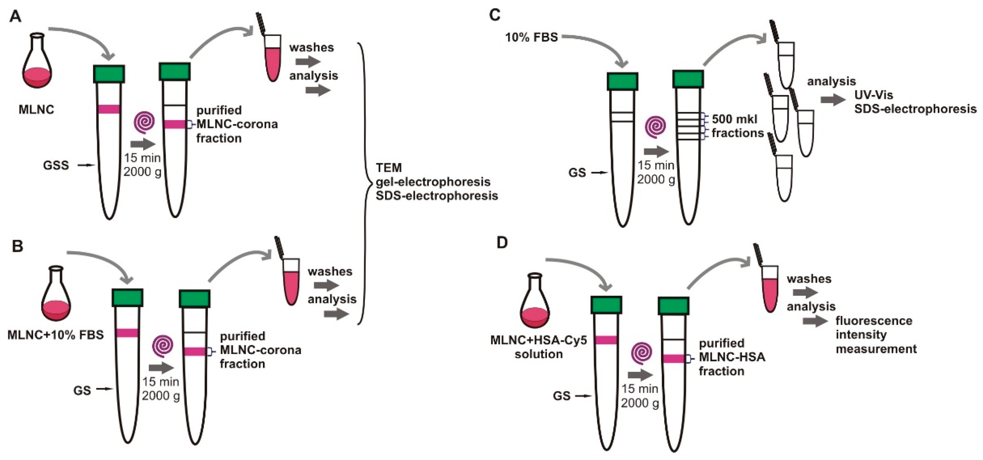 Nanomaterials 13 03094 g004