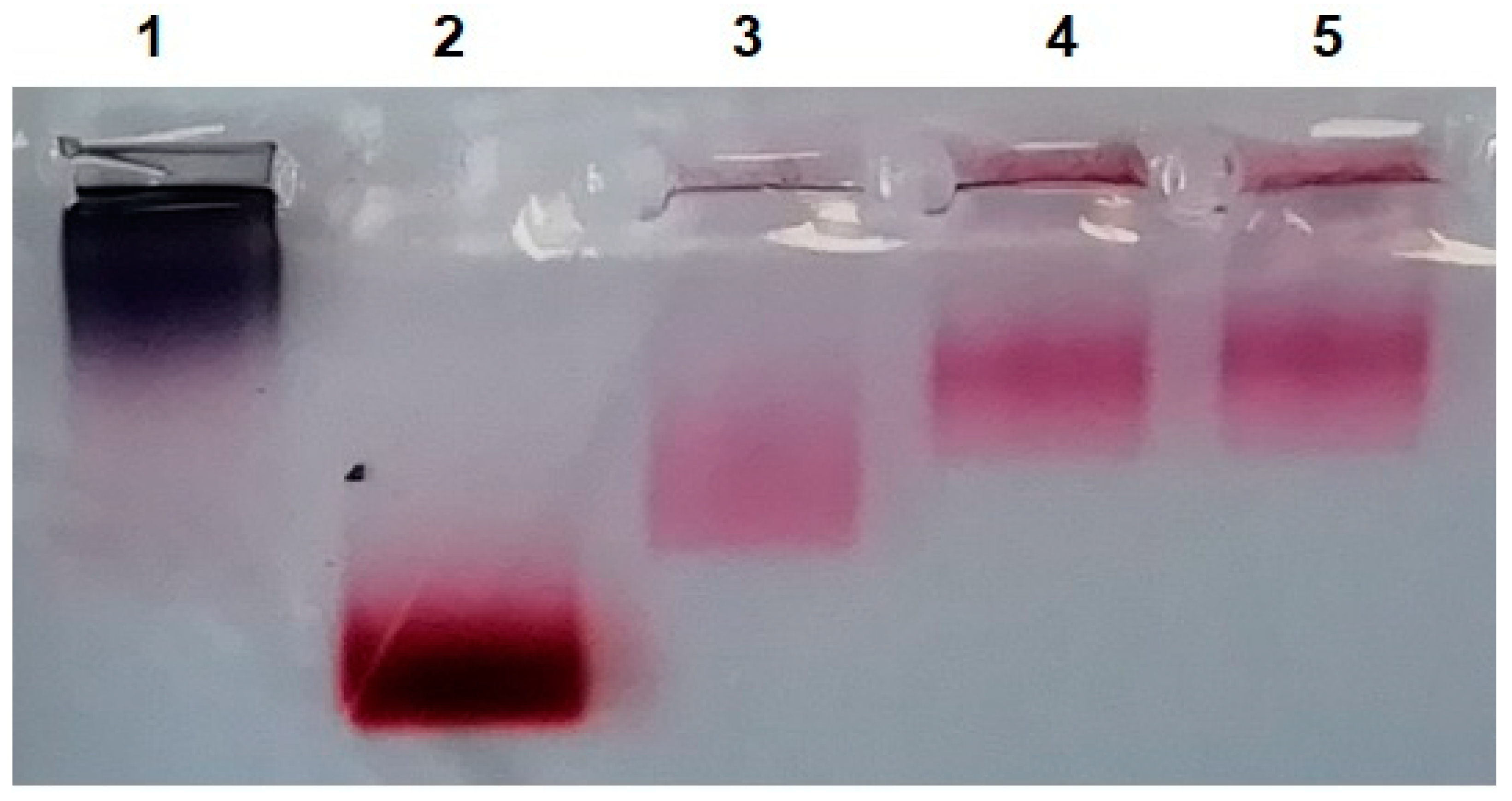 Nanomaterials 13 03094 g005