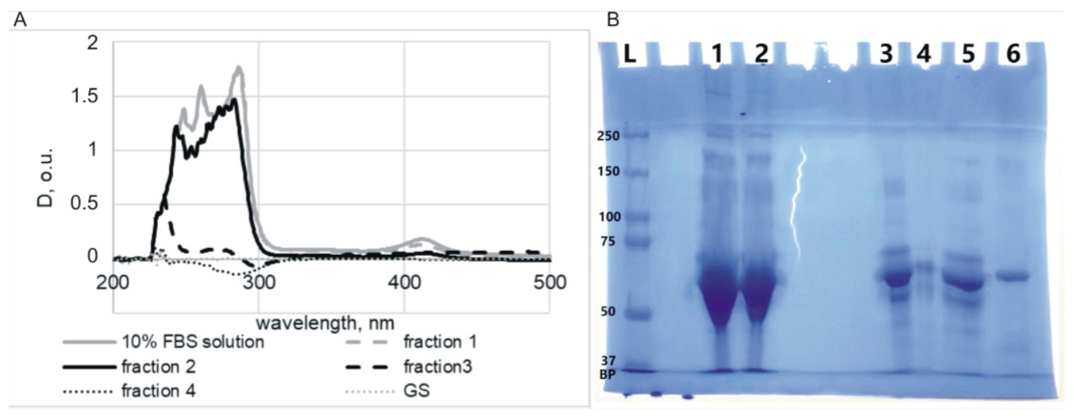 Nanomaterials 13 03094 g006
