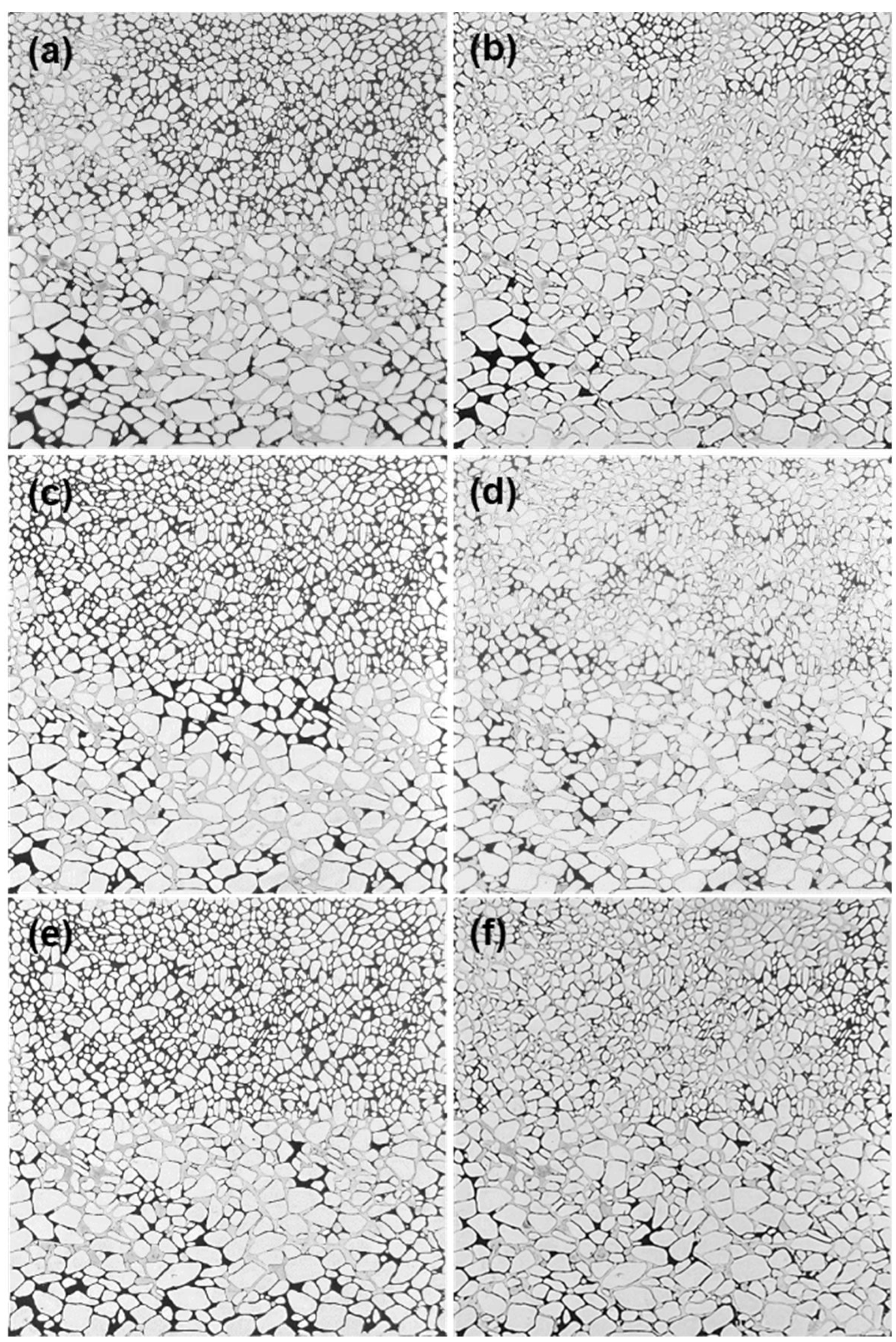 Nanomaterials 13 03101 g007