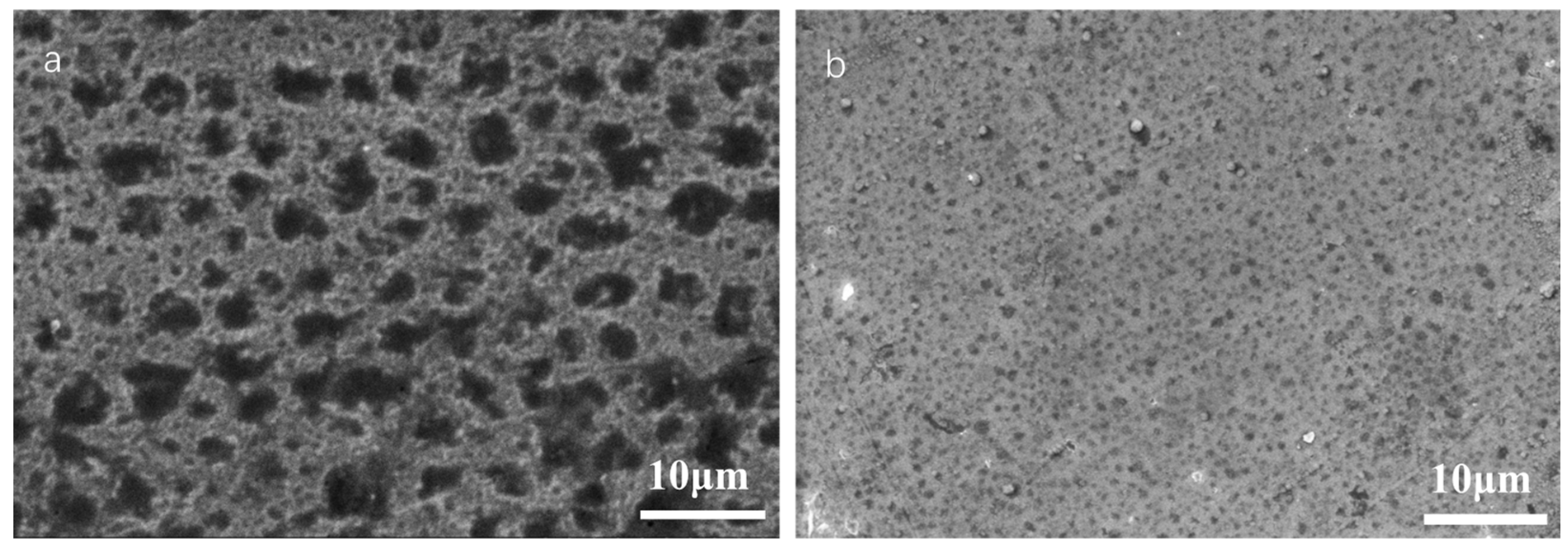 Nanomaterials 13 03129 g011