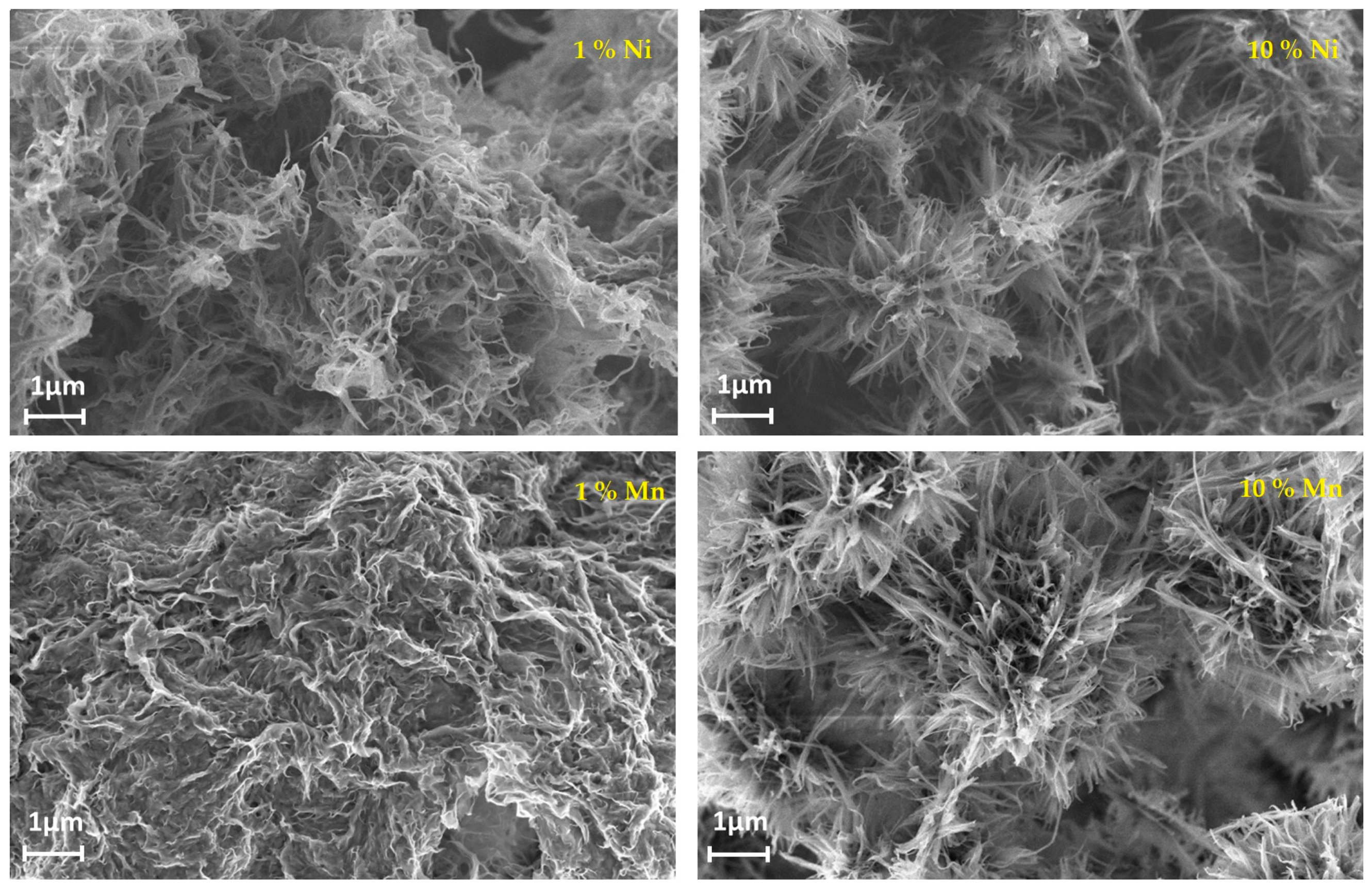 Nanomaterials 13 03149 g017
