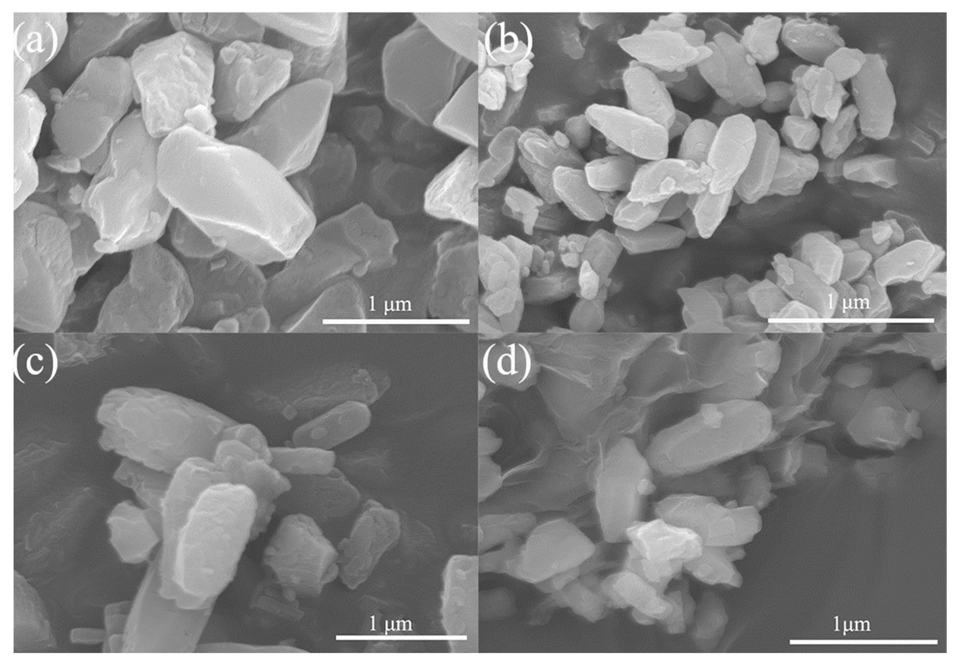 Nanomaterials 14 00024 g001