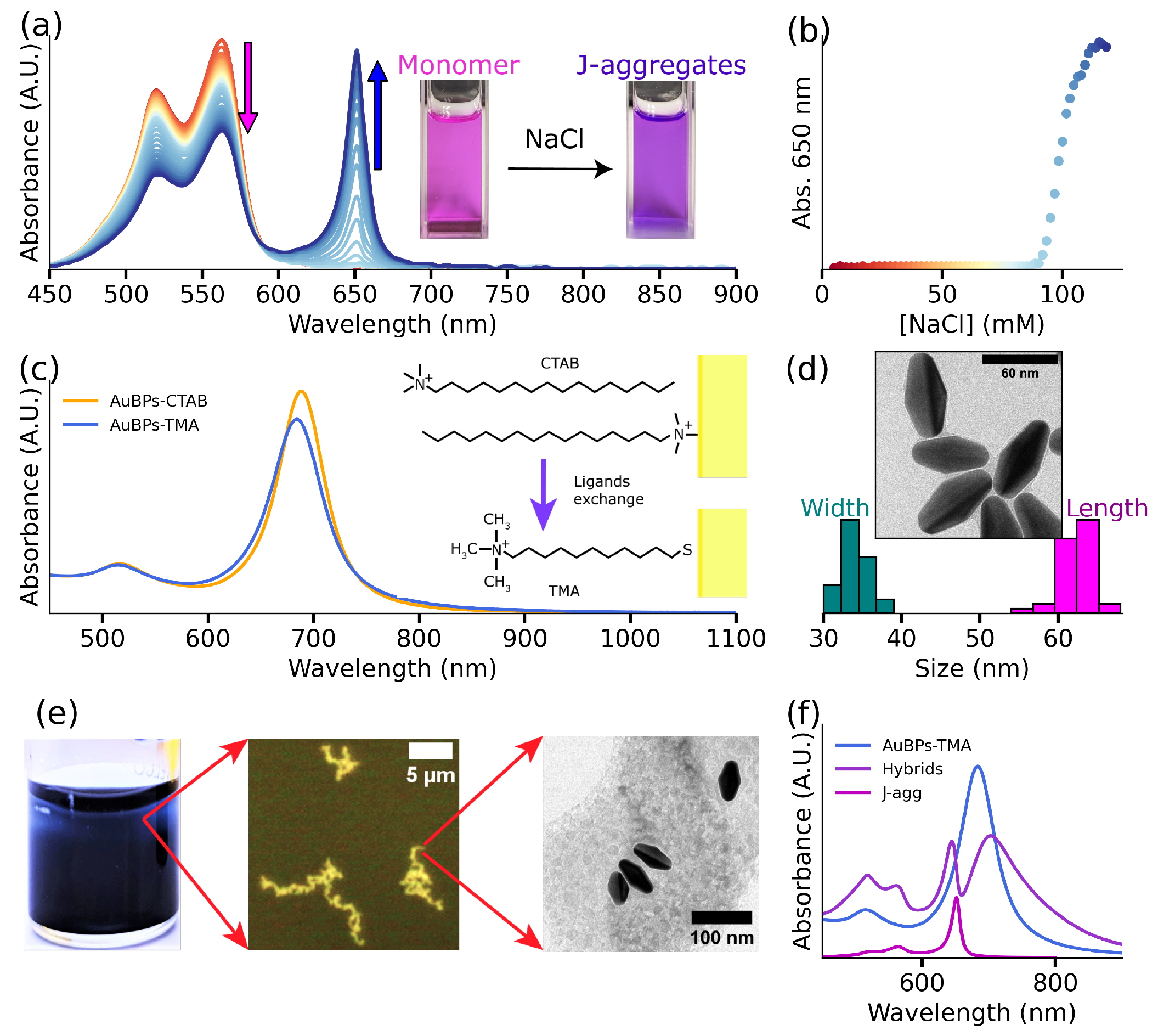 Nanomaterials 14 00035 g001 Nanomaterials 14 00035 g001