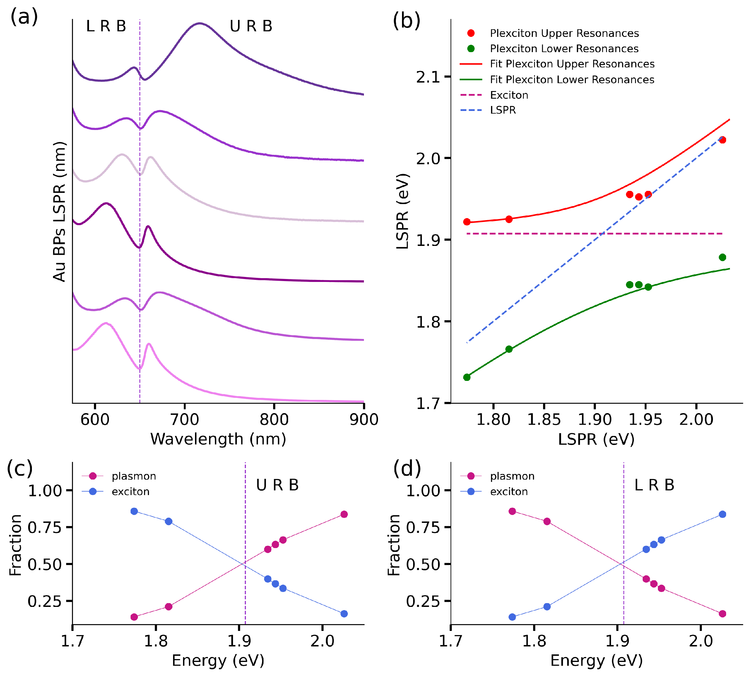 Nanomaterials 14 00035 g003 Nanomaterials 14 00035 g003