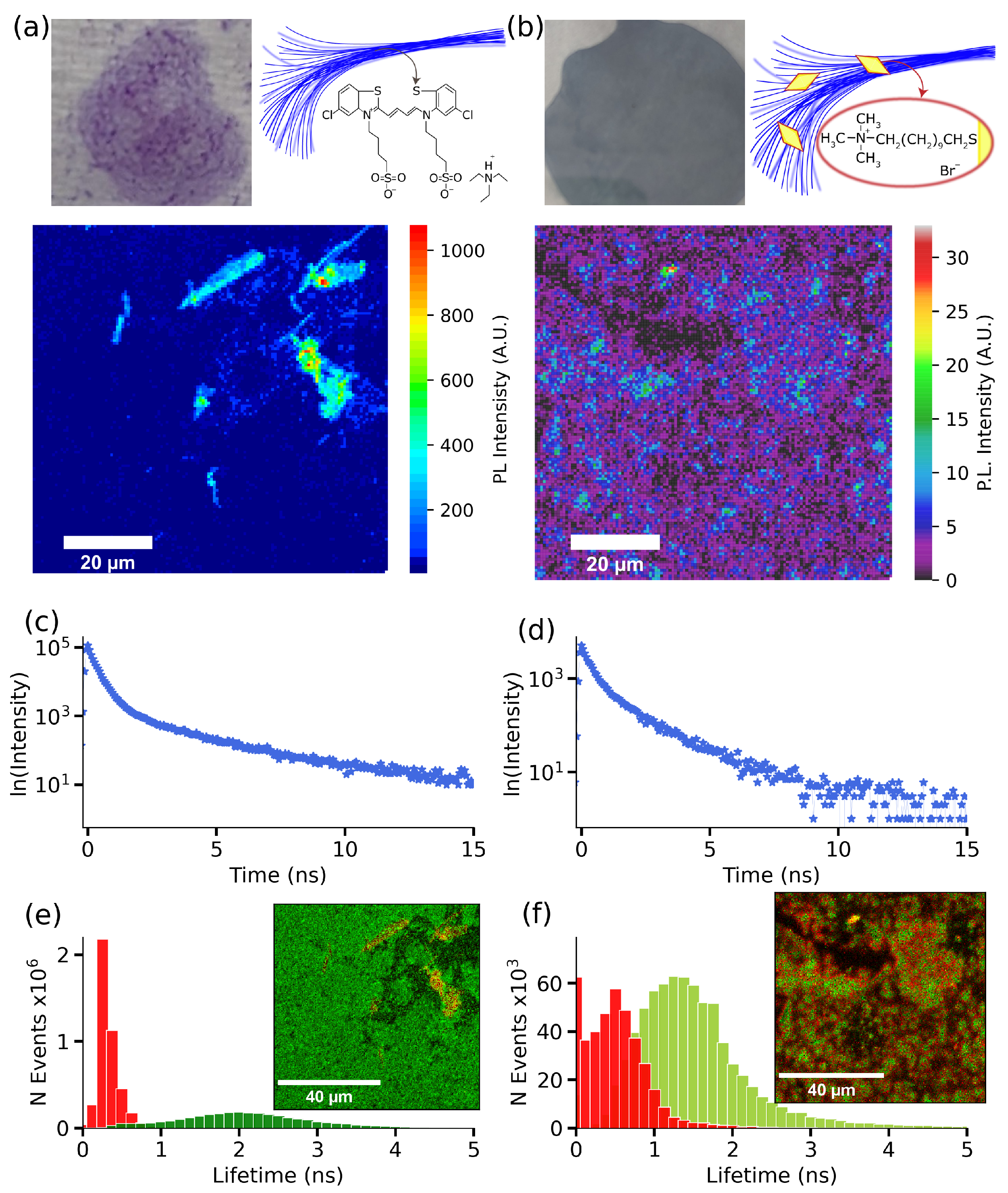 Nanomaterials 14 00035 g004 Nanomaterials 14 00035 g004