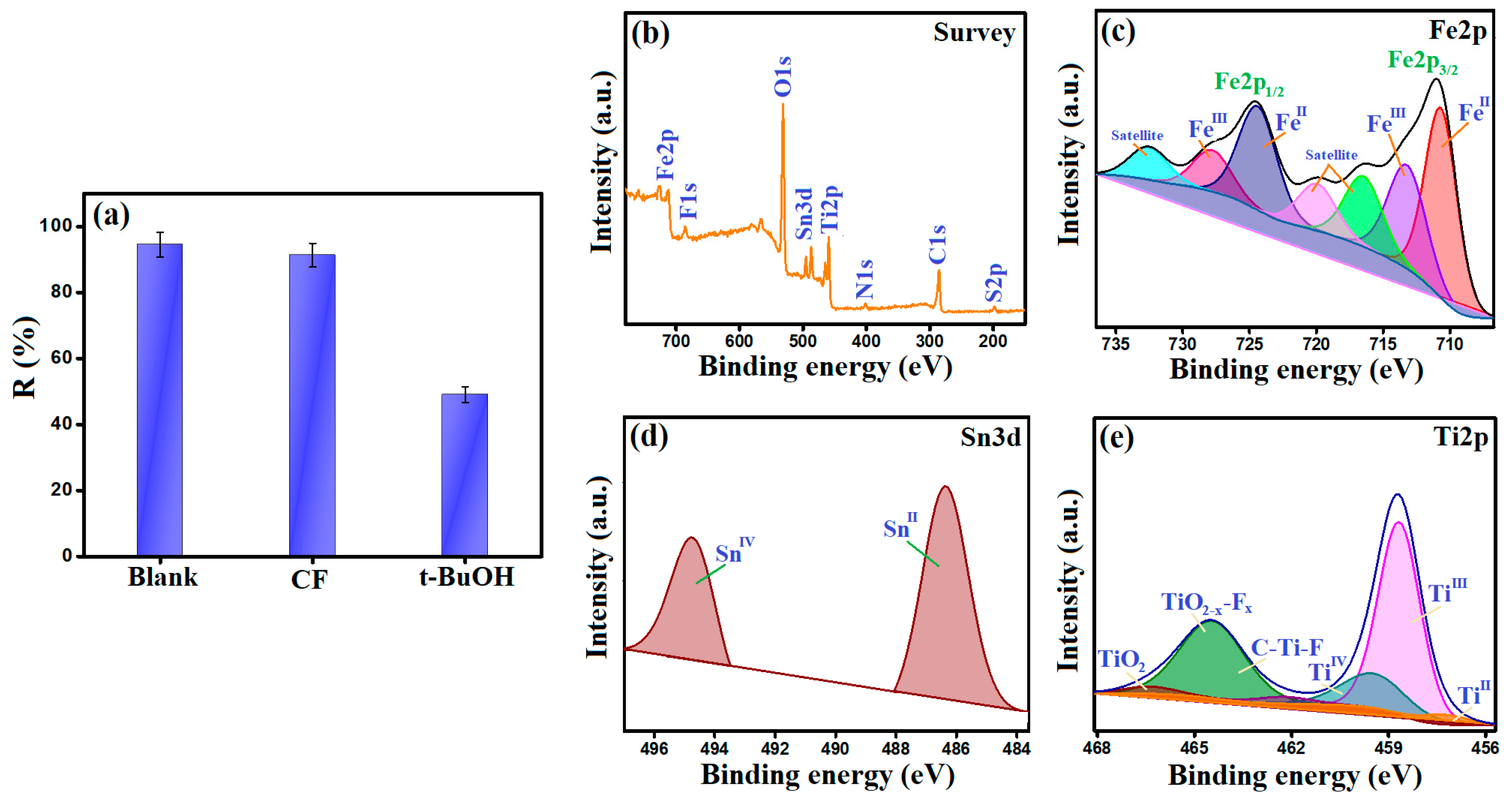 Nanomaterials 14 00054 g007