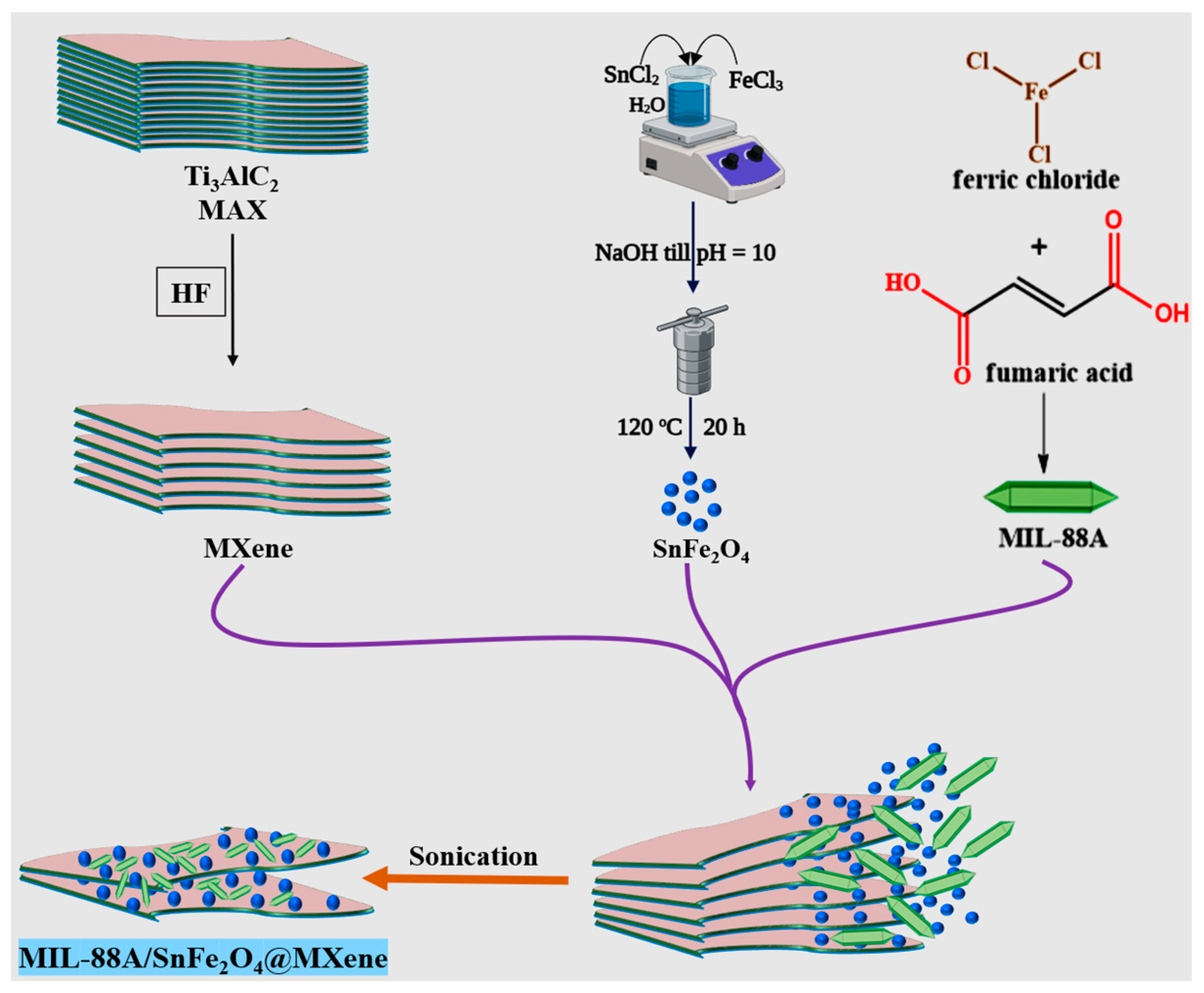 Nanomaterials 14 00054 sch001
