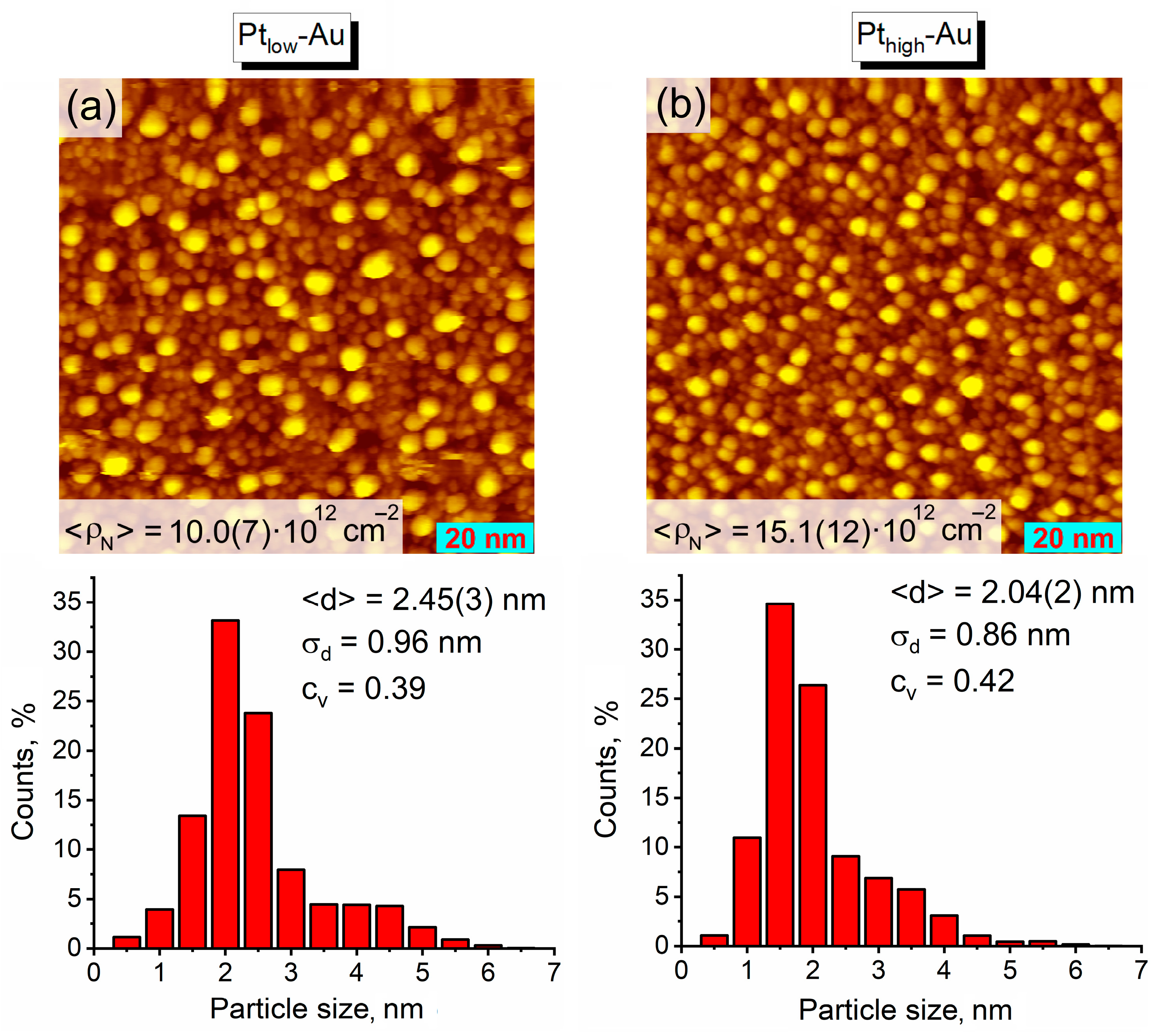 Nanomaterials 14 00057 g002