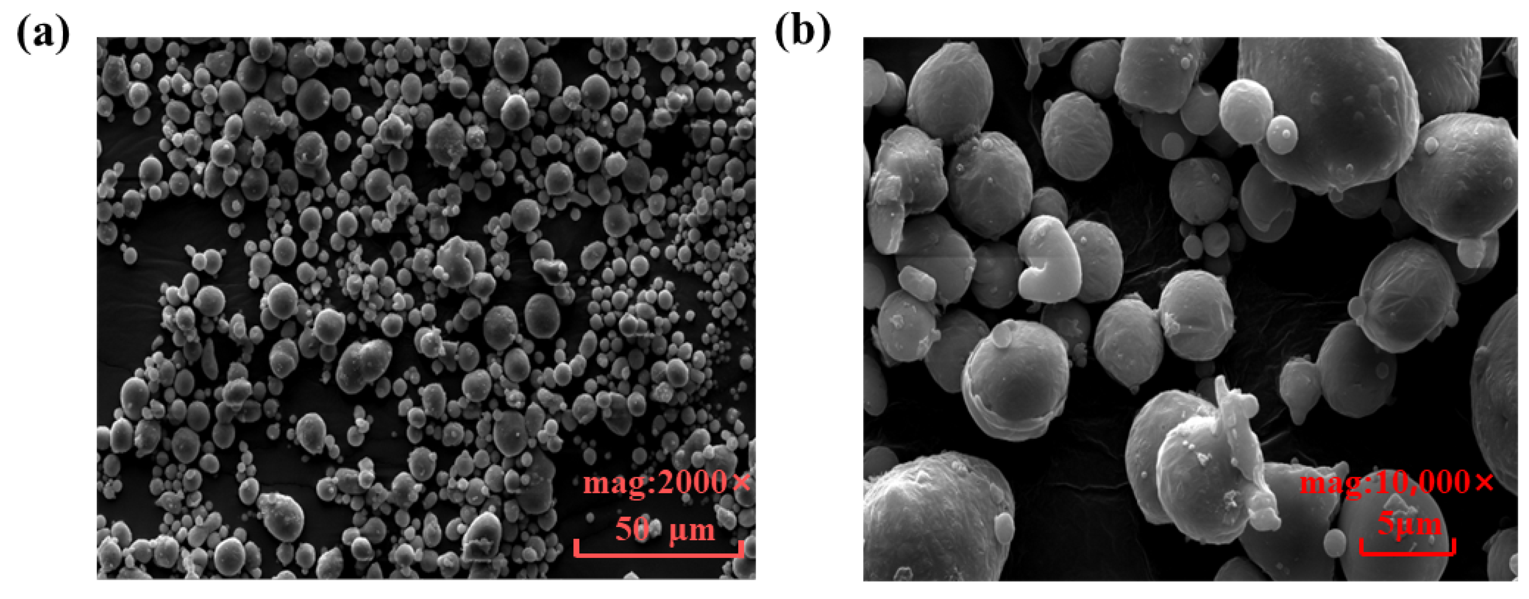 Nanomaterials 14 00060 g003