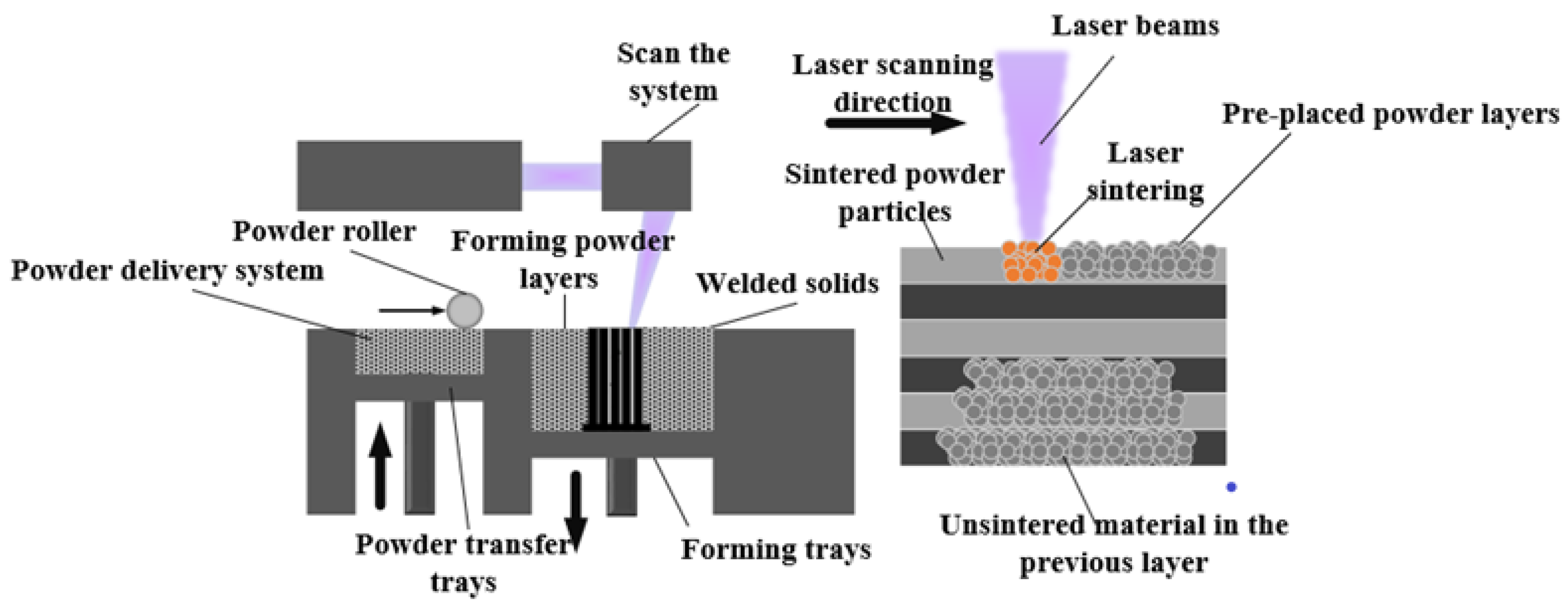 Nanomaterials 14 00060 g004