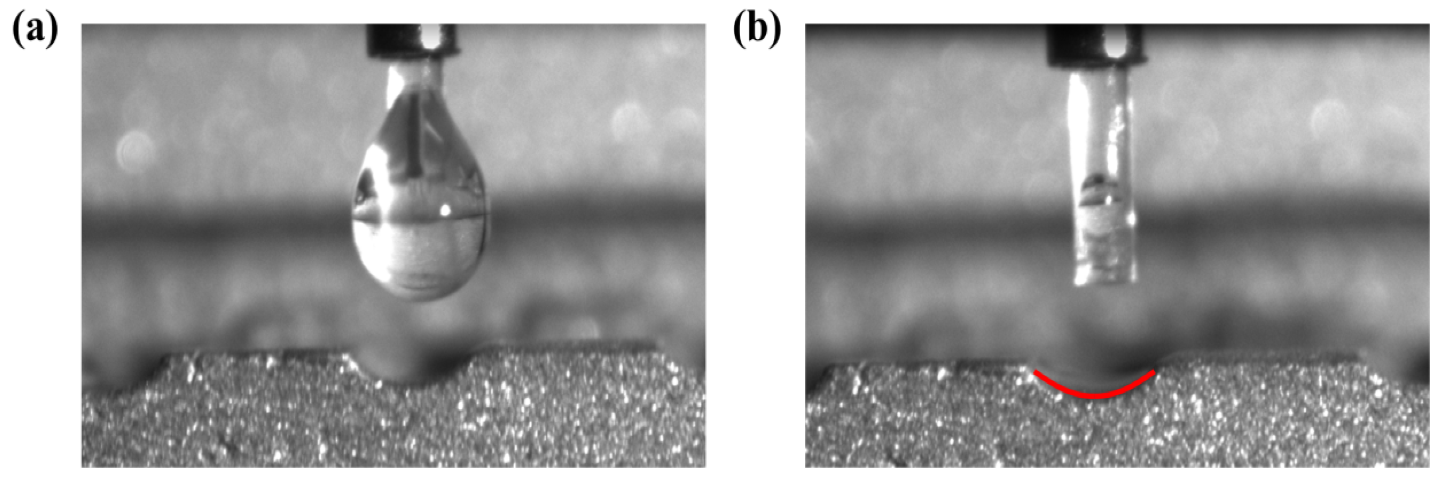 Nanomaterials 14 00060 g009
