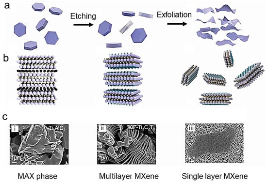 Nanomaterials | Free Full-Text | Recent Advances and Strategies in 