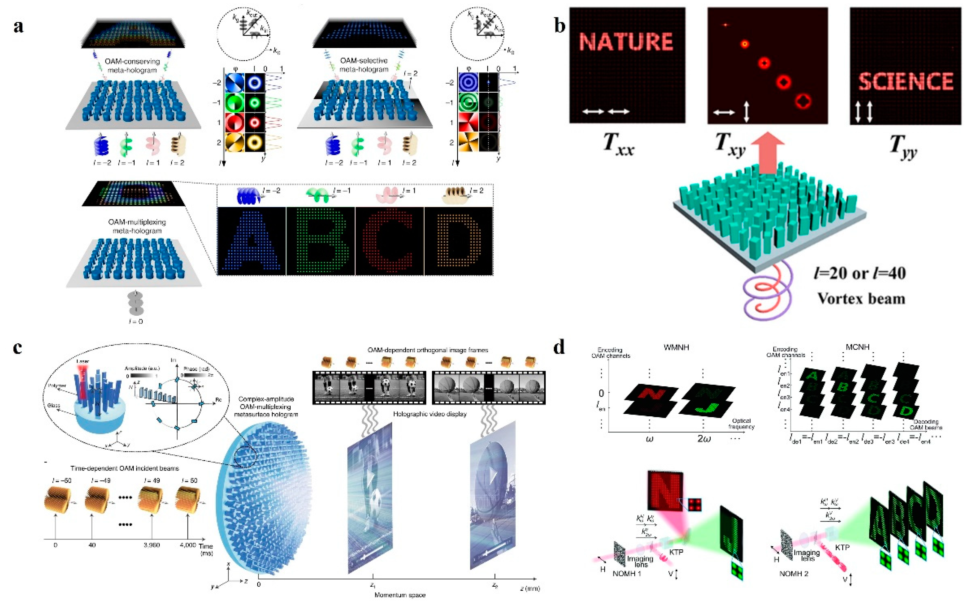Nanomaterials 14 00066 g004