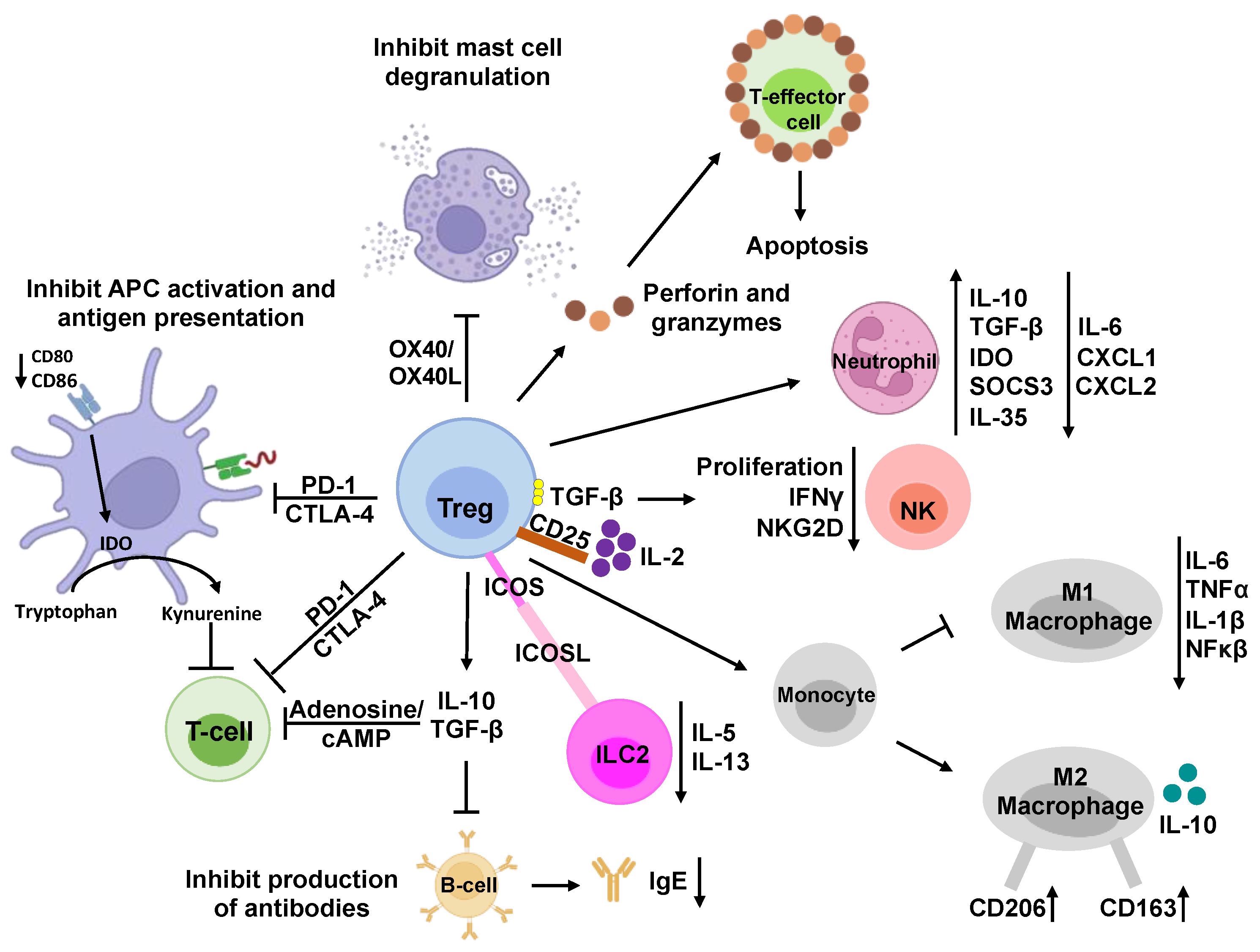 Nanomaterials 14 00067 g002 Nanomaterials 14 00067 g002
