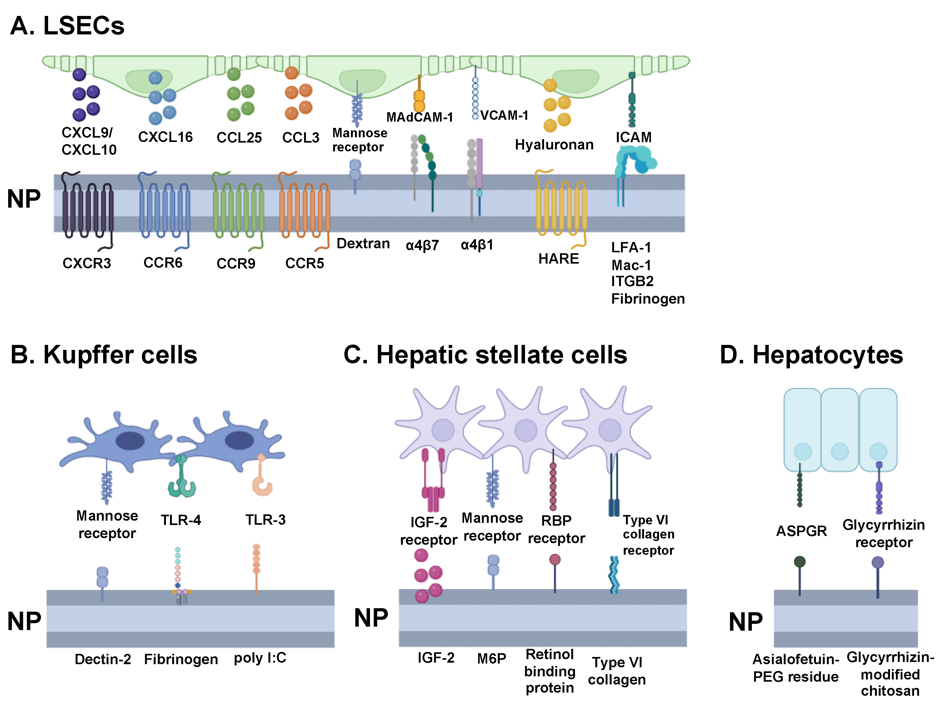 Nanomaterials 14 00067 g004 Nanomaterials 14 00067 g004