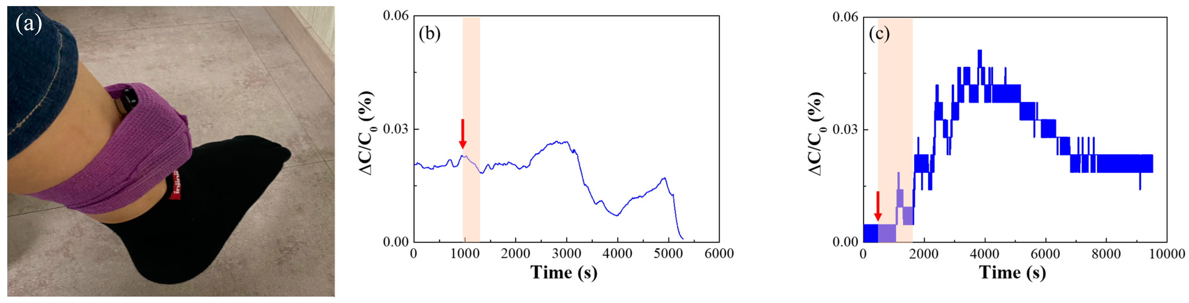 Nanomaterials 14 00070 g013